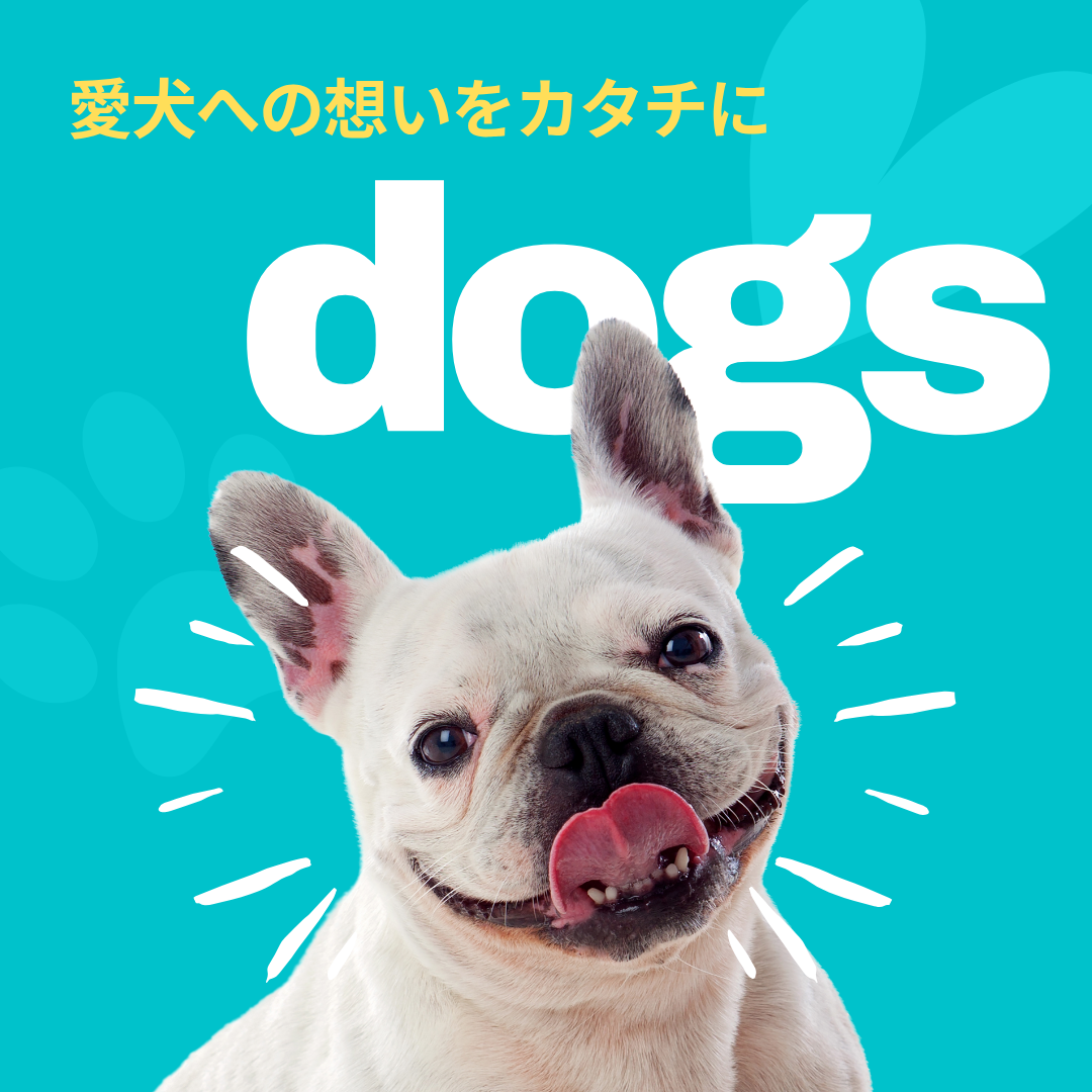 🎈お祝いもお別れも、愛犬への想いをカタチにするバルーン特集 🐾