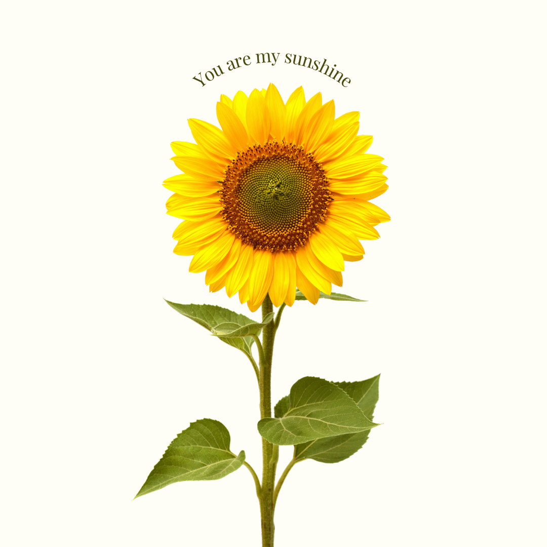 🌻この夏だけの、特別なひまわりブーケ🎈