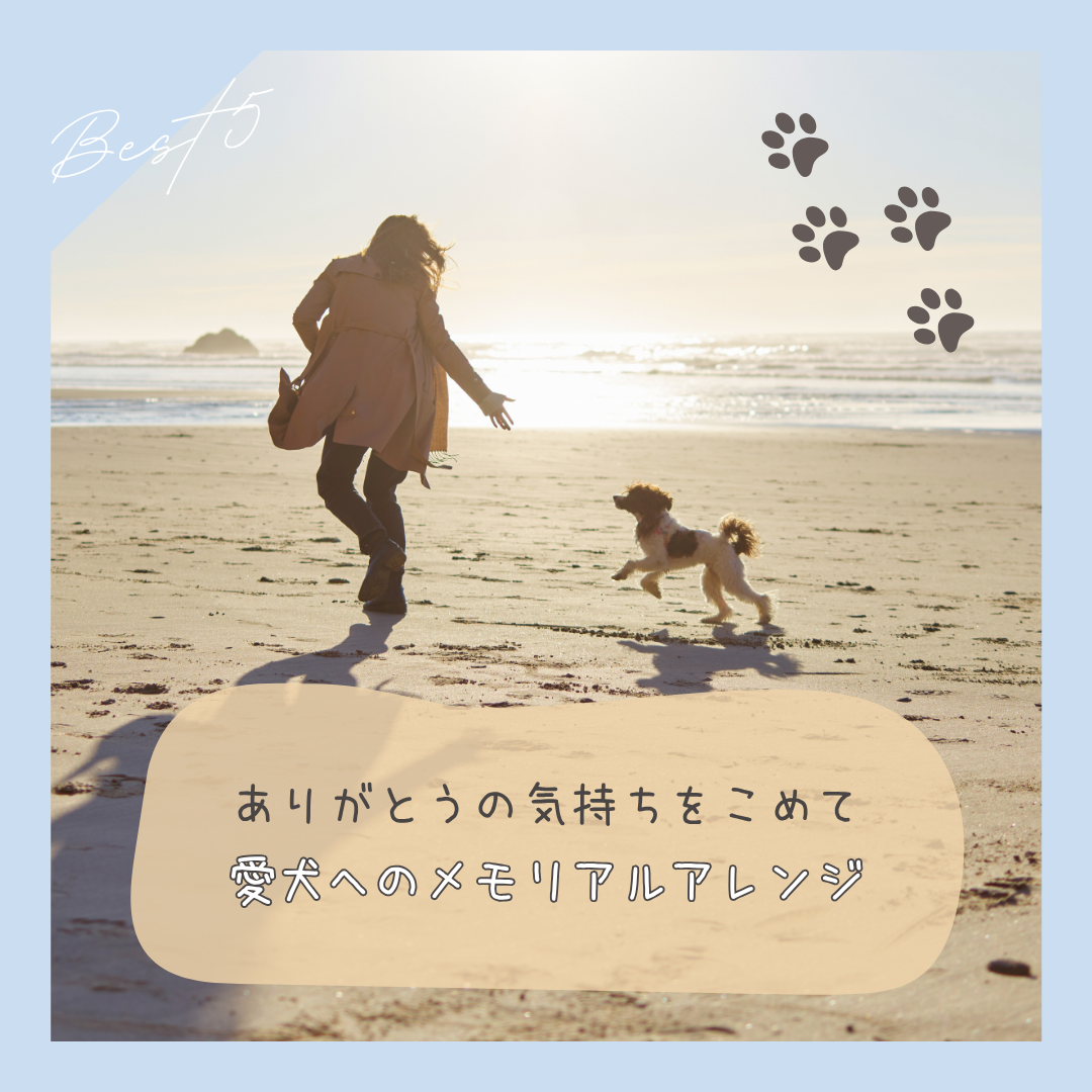 🕊 ありがとうの気持ちをこめて。愛犬へのメモリアルアレンジ 🐾🌈