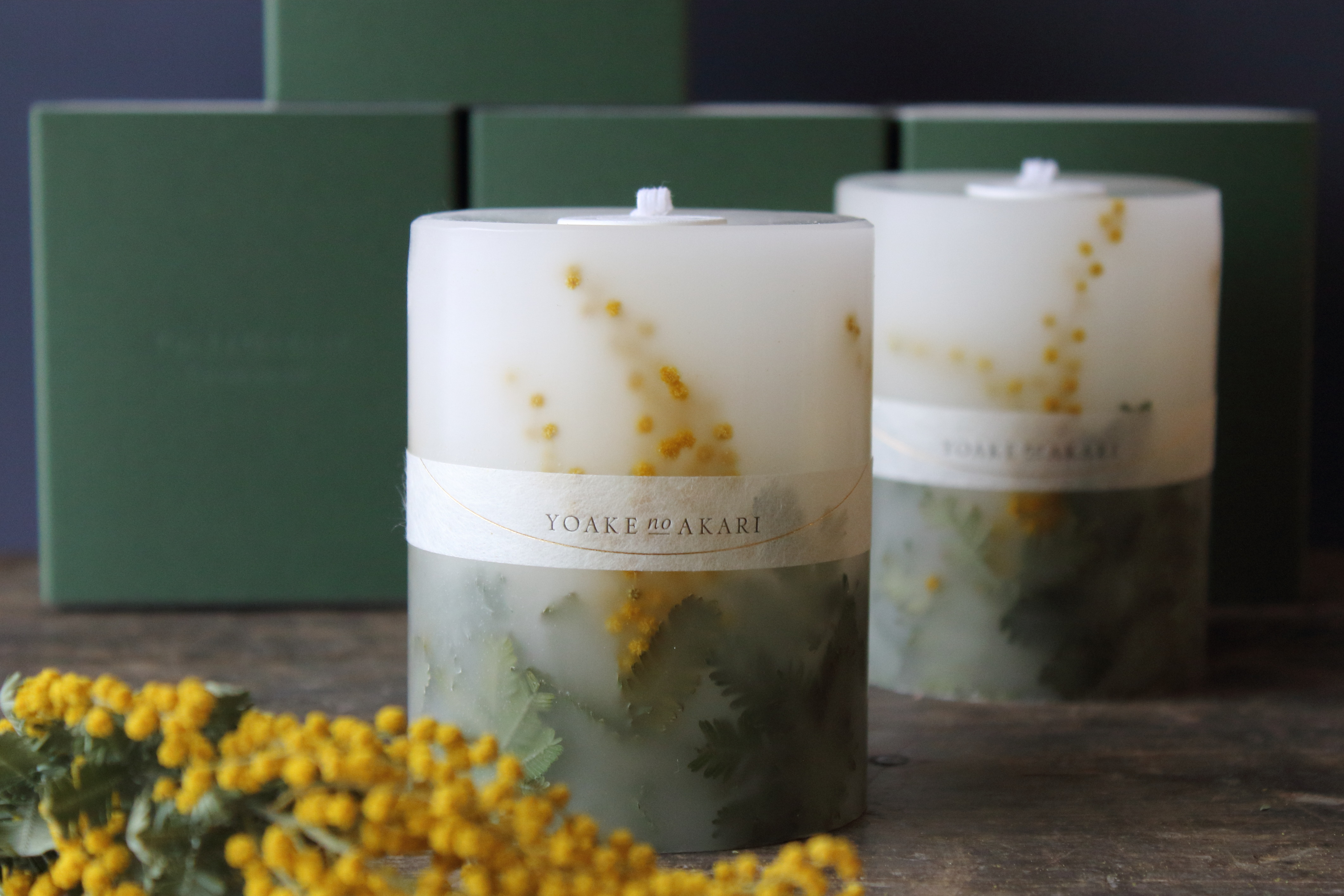 mimosa Botanical candle 2021年分販売開始しました