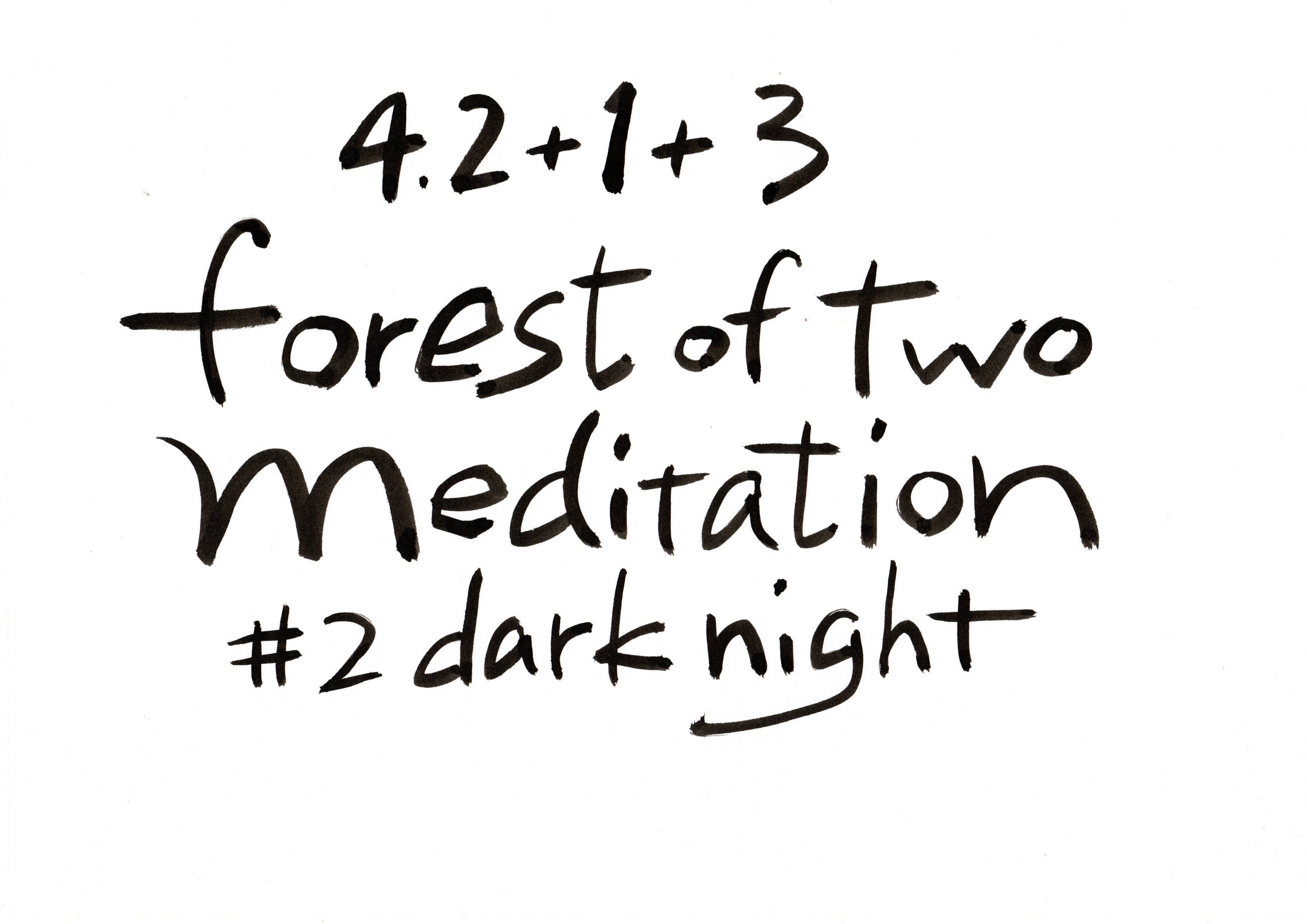 4.2+1+3 forest of two meditation #2 Dark night