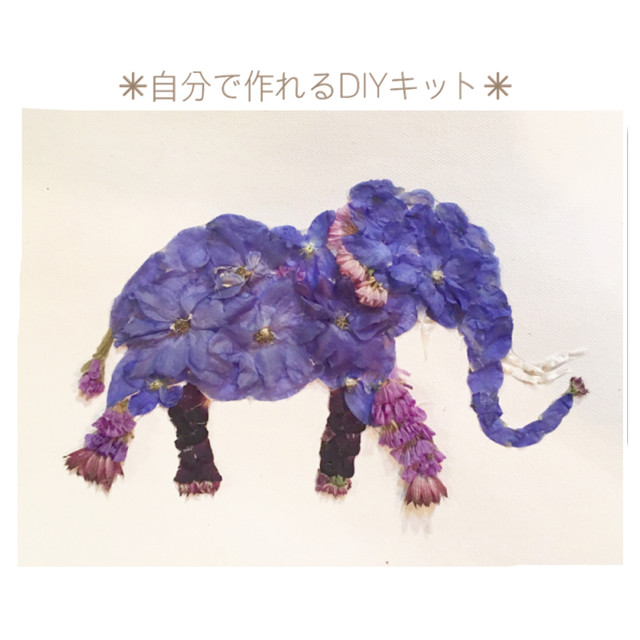 🐘🐬🐳💙ゾウさんcolor変更💙🐳🐬🐘