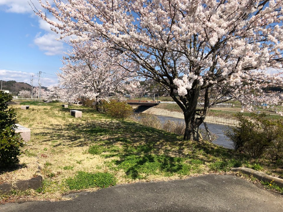 ありがとうございます。