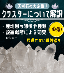 クラスターの産地と特徴