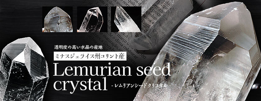 ミナスジェライス州コリント産 高品質のレムリアンシード水晶が入荷いたしました！