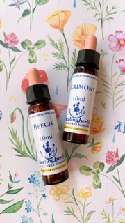 人間関係をスムーズに✧︎*。