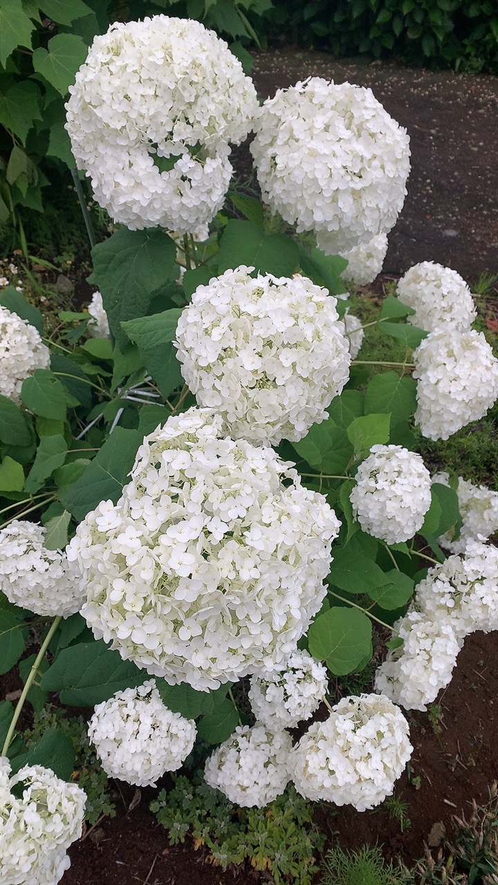 みんなで一つの世界を生きているわけではない