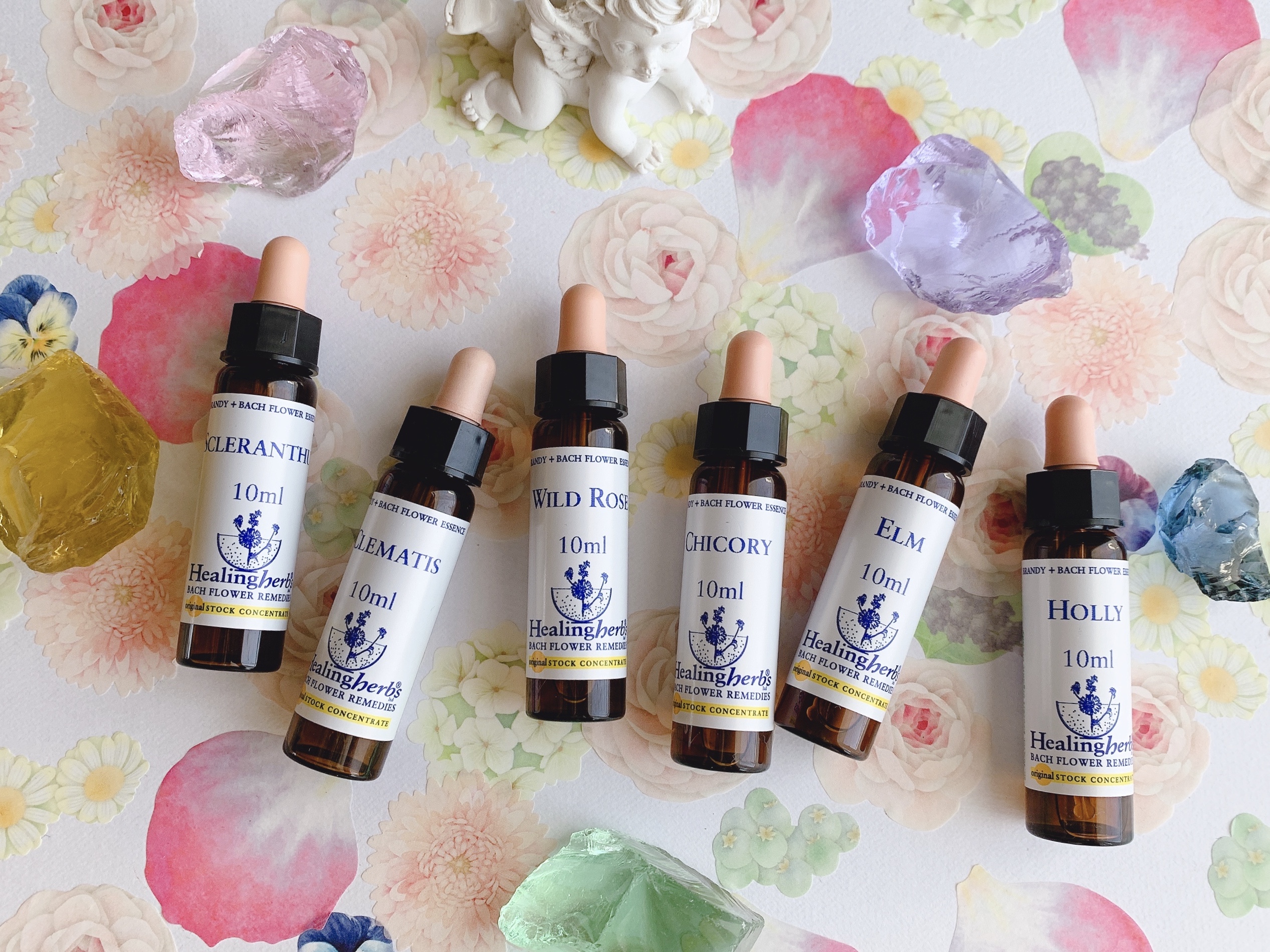 フラワーエッセンス・スターオブベツレヘム