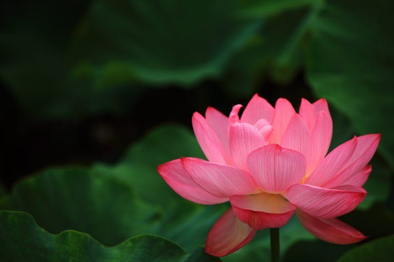 自分らしさとは?