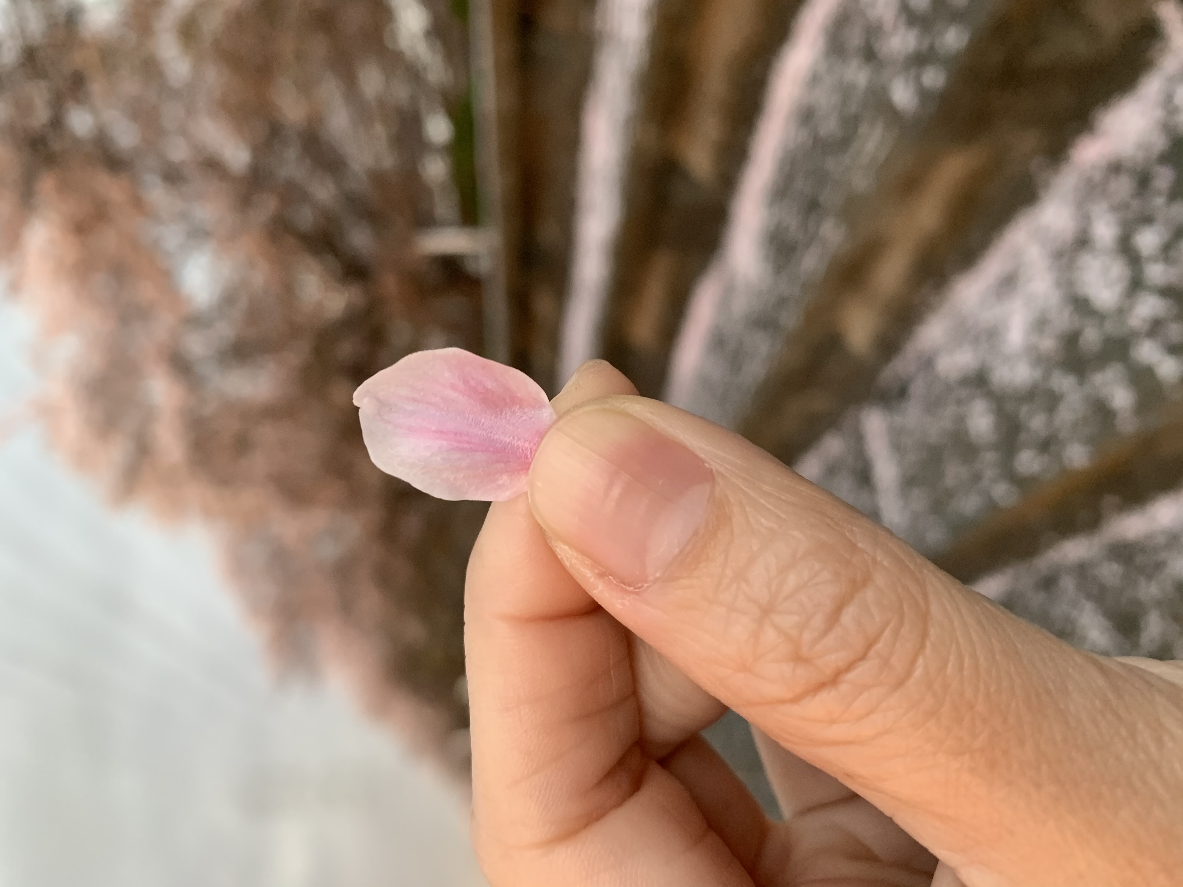 魂とは有り得ないという事が有り得ない世界