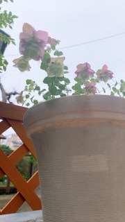 ネガティブな感情、周波数を手放す