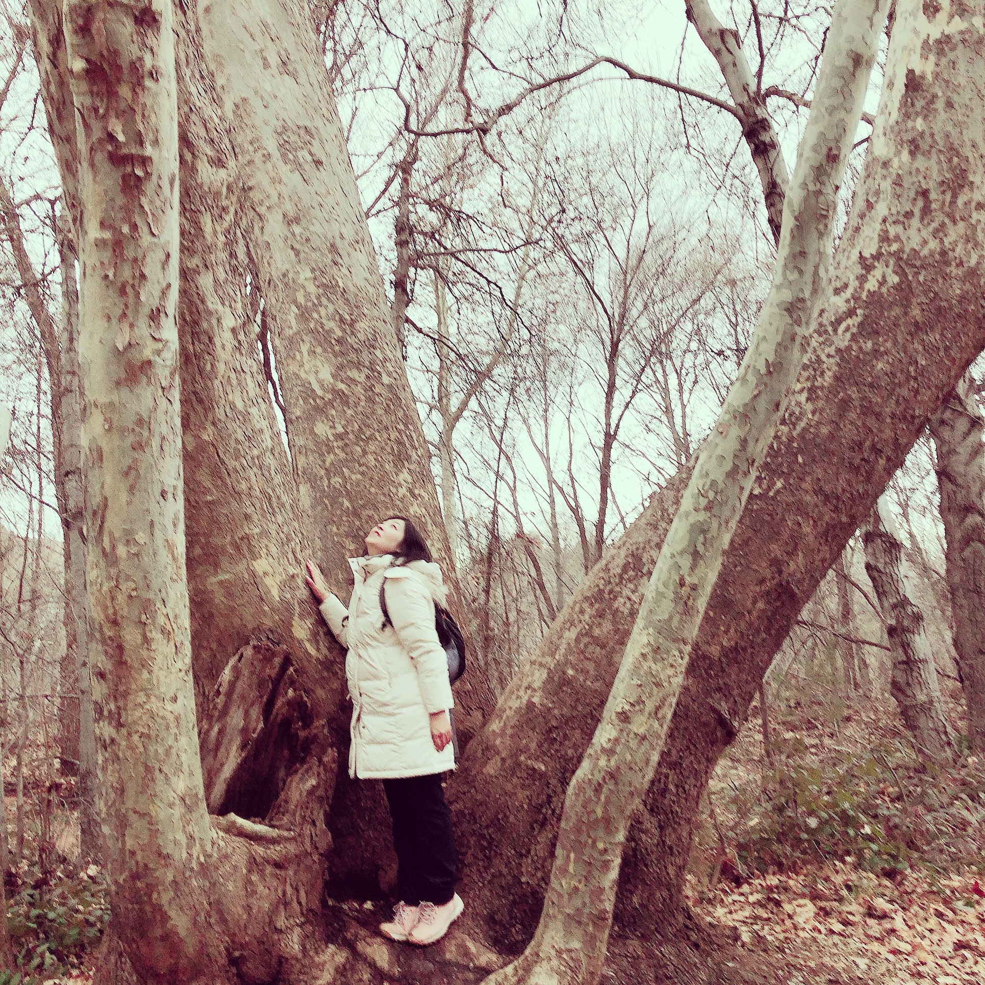 エマの哲学（Philosophy）