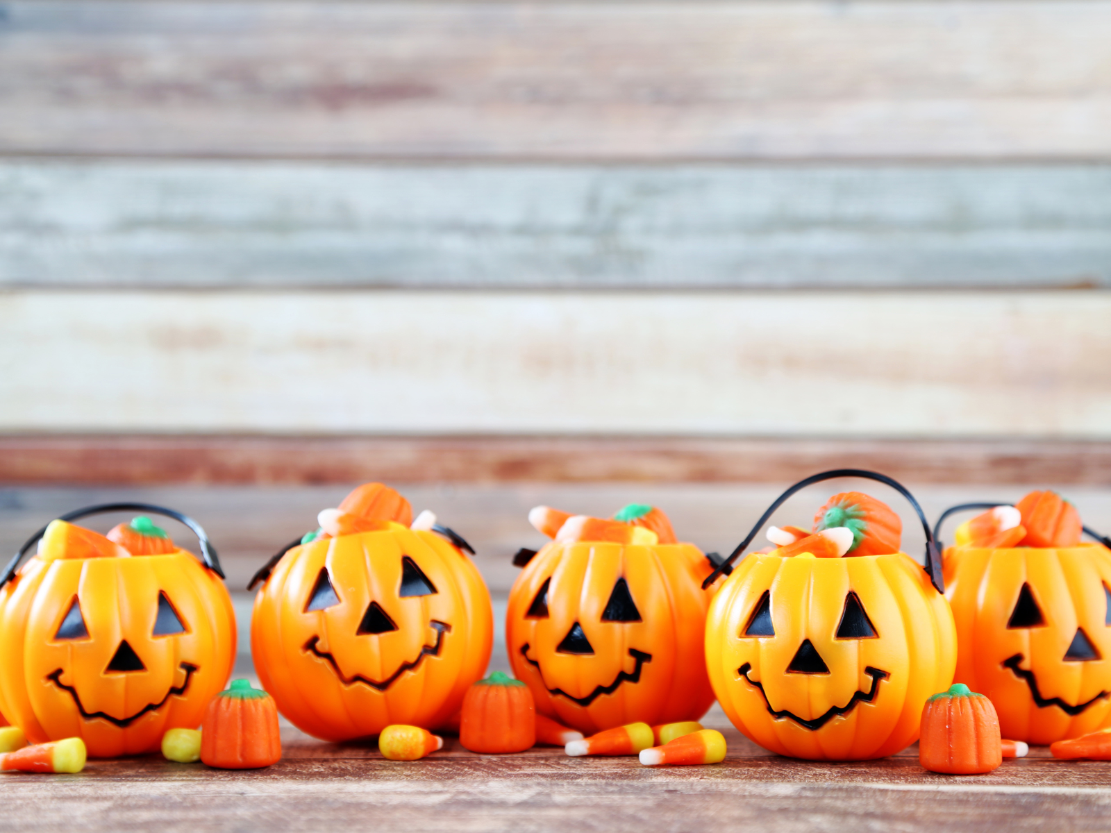 ハロウィンの魔法を花で楽しむ！特別なアレンジメントの提案