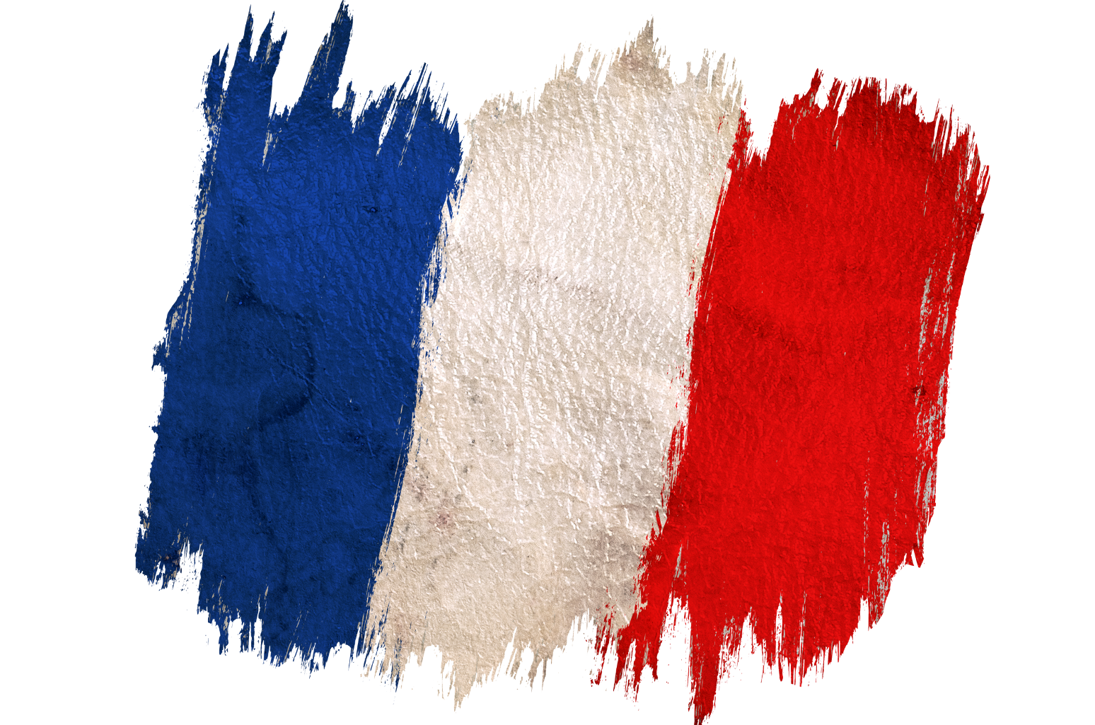 Product Exports to France Due to EPR Law Revision