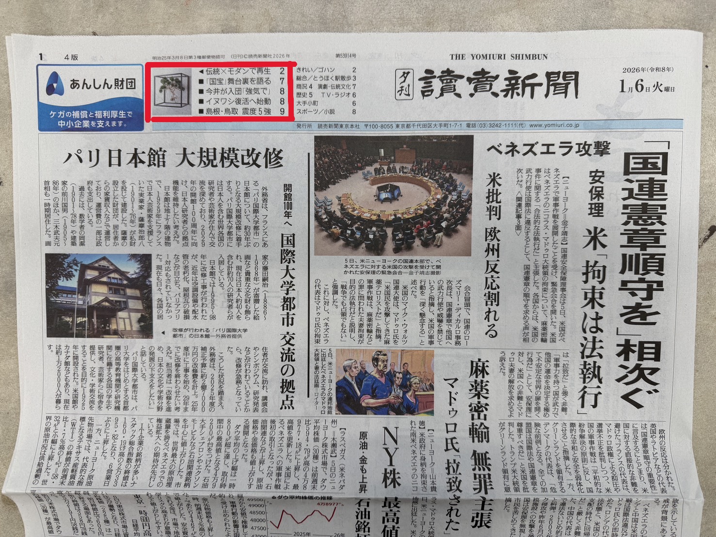 【メディア掲載】読売新聞 夕刊にて「ドライ盆栽」が特集されました