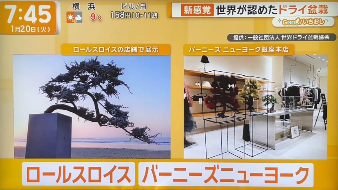 【メディア掲載】テレビ朝日「グッド！モーニング」の「グッド！いちおし」にて紹介されました。