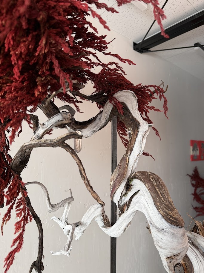 【メディア掲載】読売新聞オンラインにて「ドライ盆栽」が特集されました。