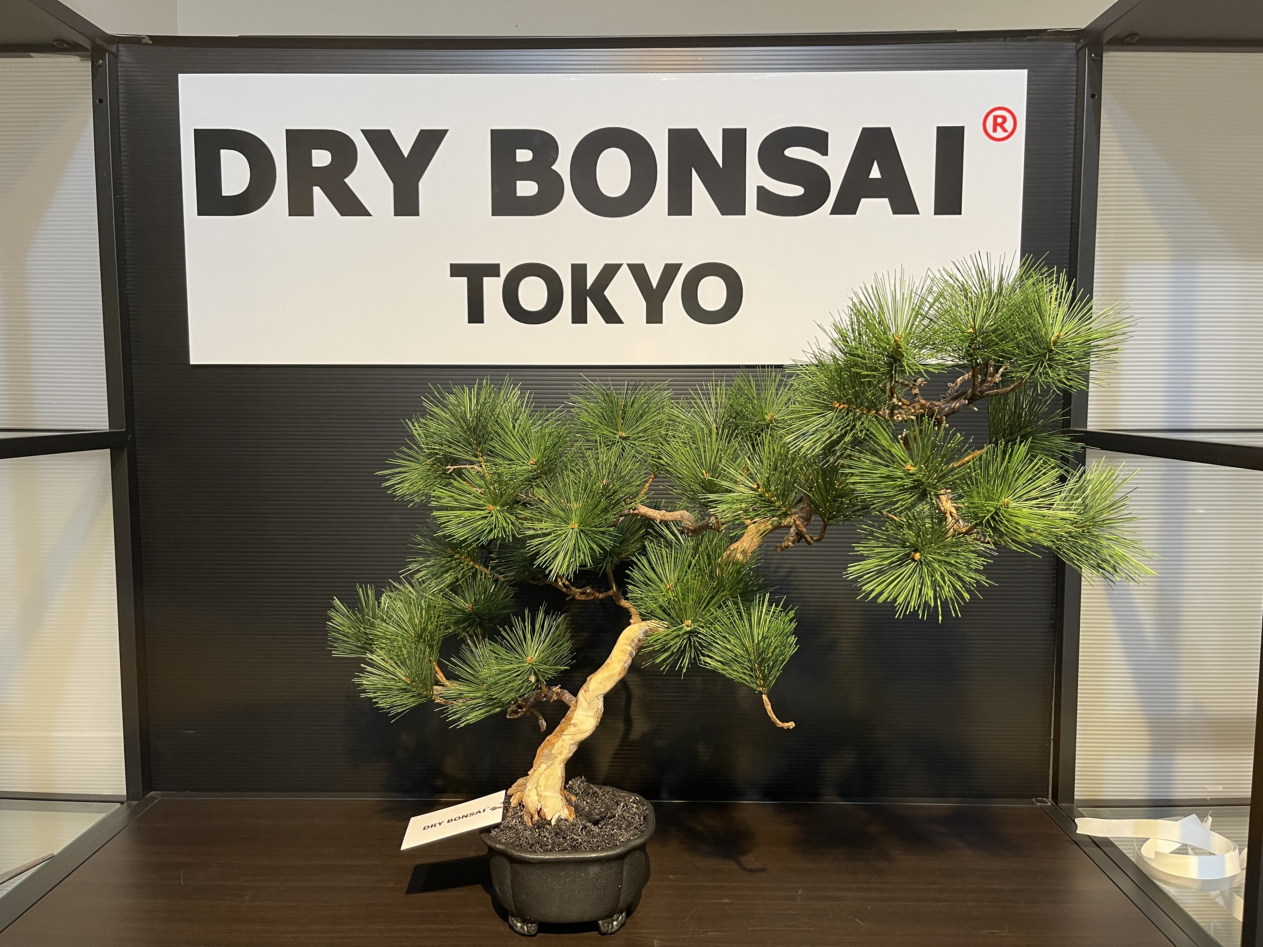 【News】銀座サロンの看板が新しくなりました！