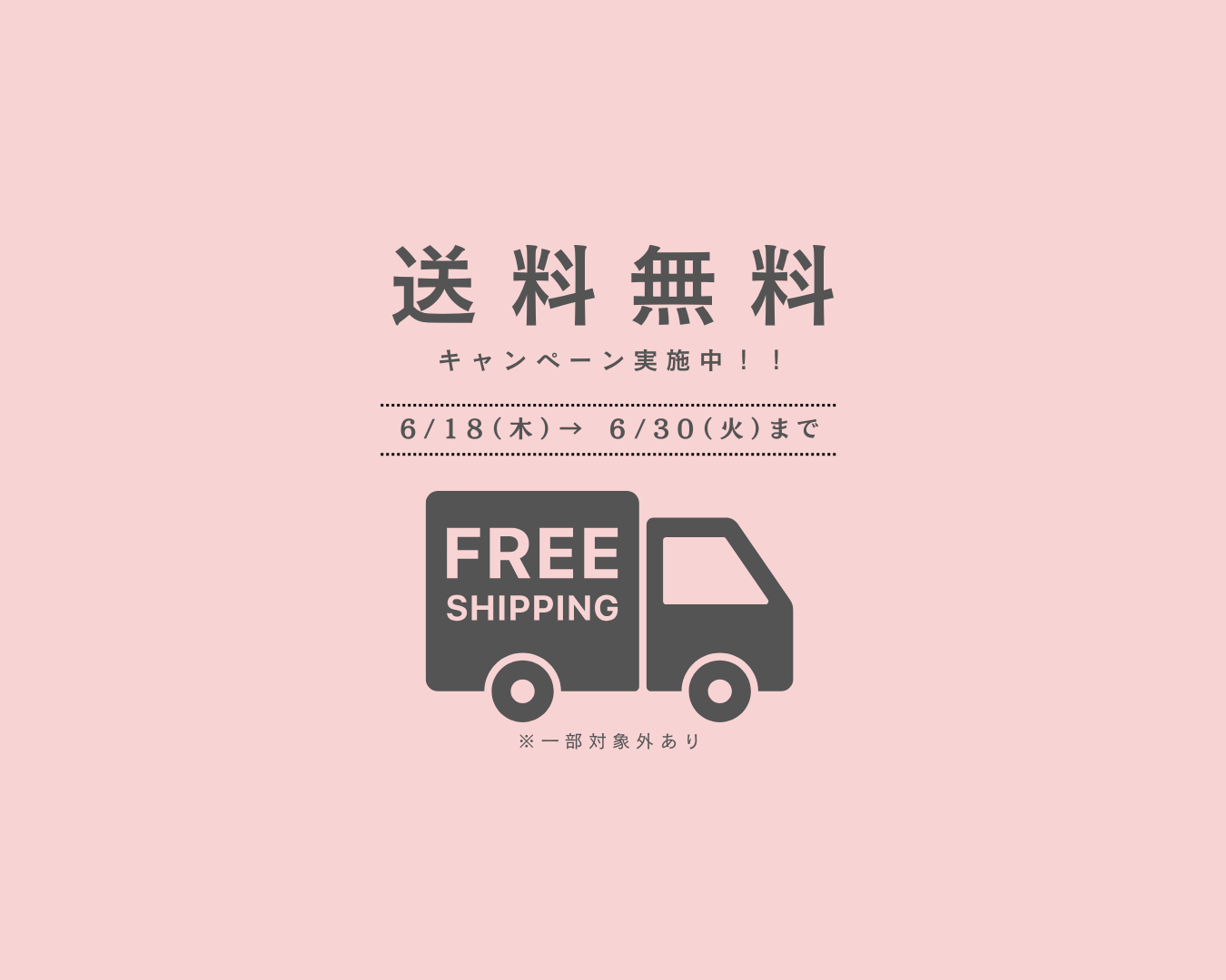 \送料無料キャンペーン/