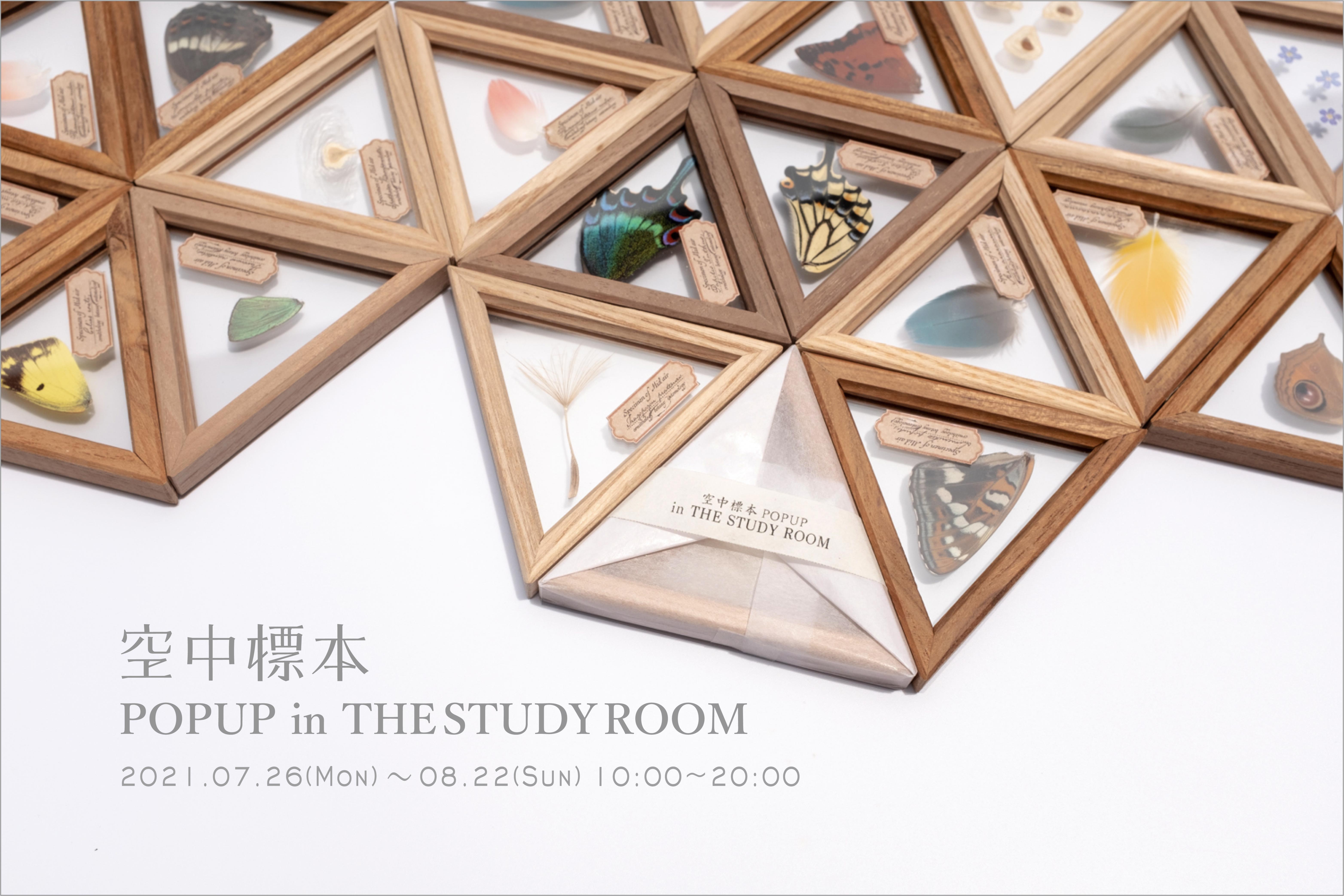 7月26日(月)〜8月22日(日)「空中標本 POPUP in THE STUDY ROOM」仙台