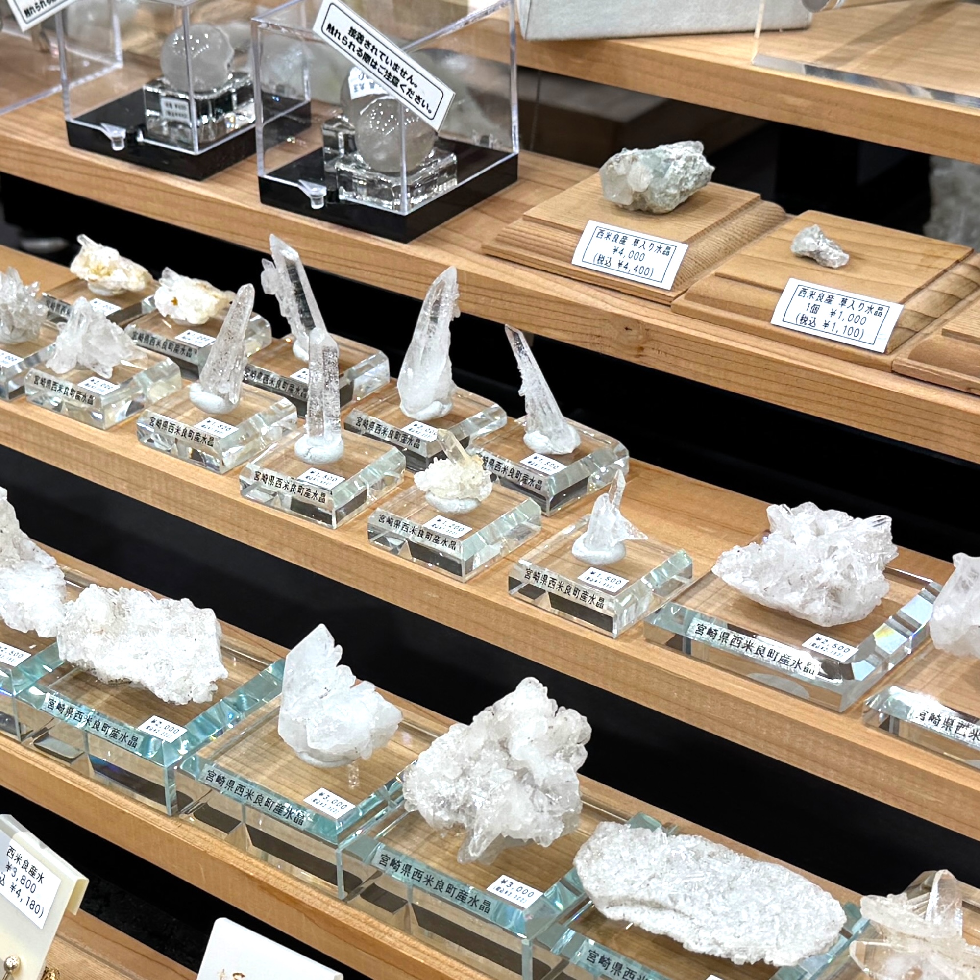 🎉 宮交シティ店 リニューアルオープンのお知らせ 🎉