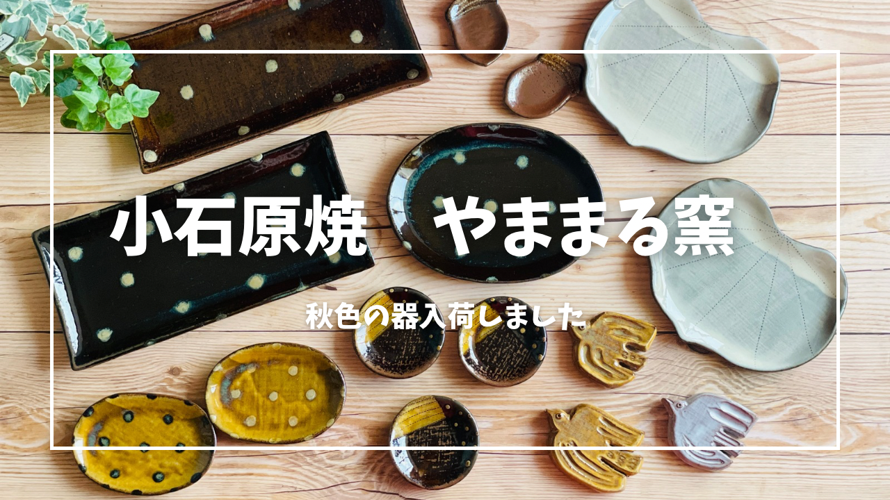 新入荷の器、ちょっとお得な器にもクーポンがご利用いただけます