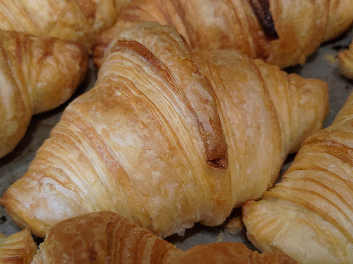 うちのクロワッサンは、まだフランスに行かない