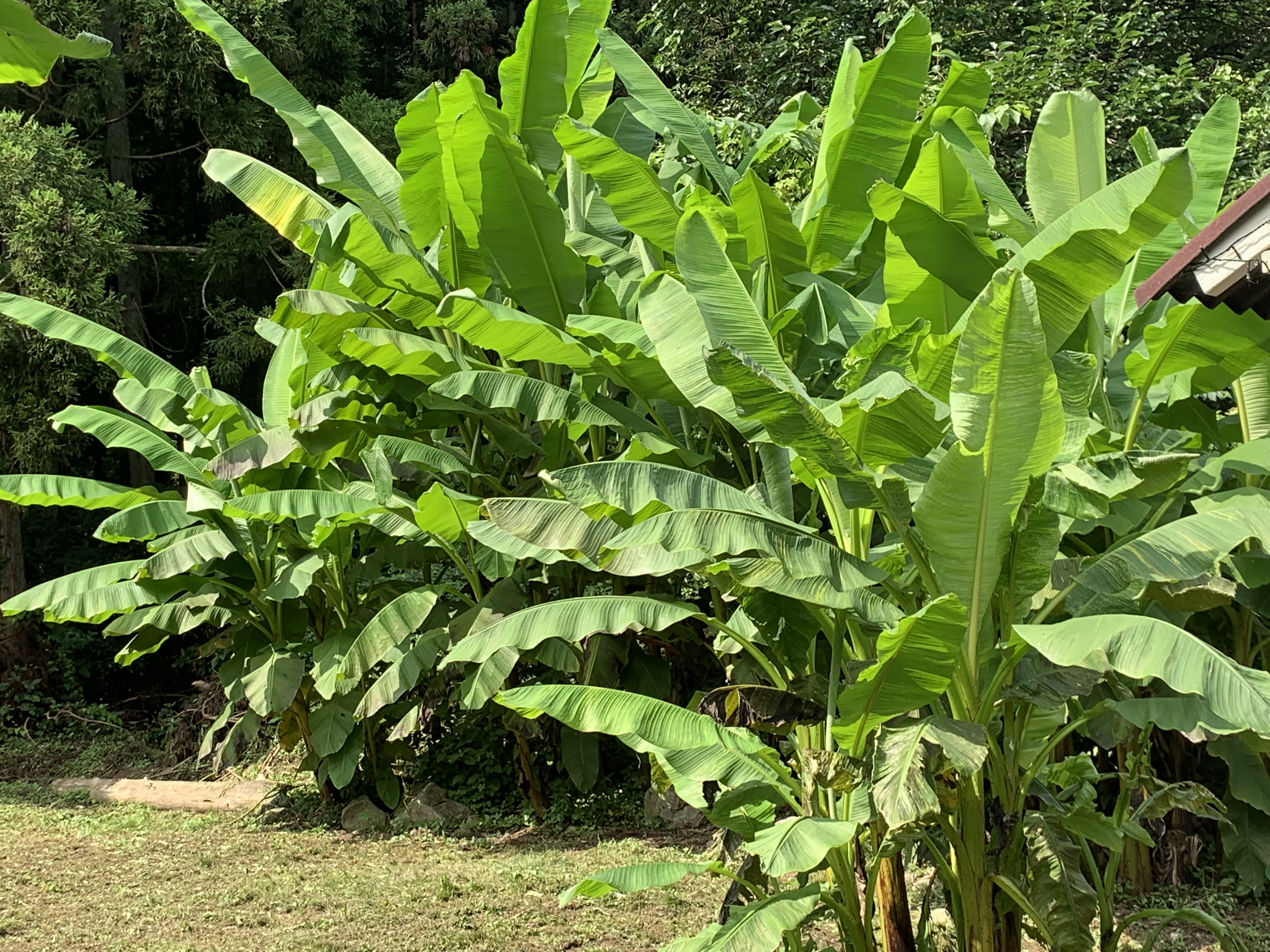 台風が近づいてるみたい