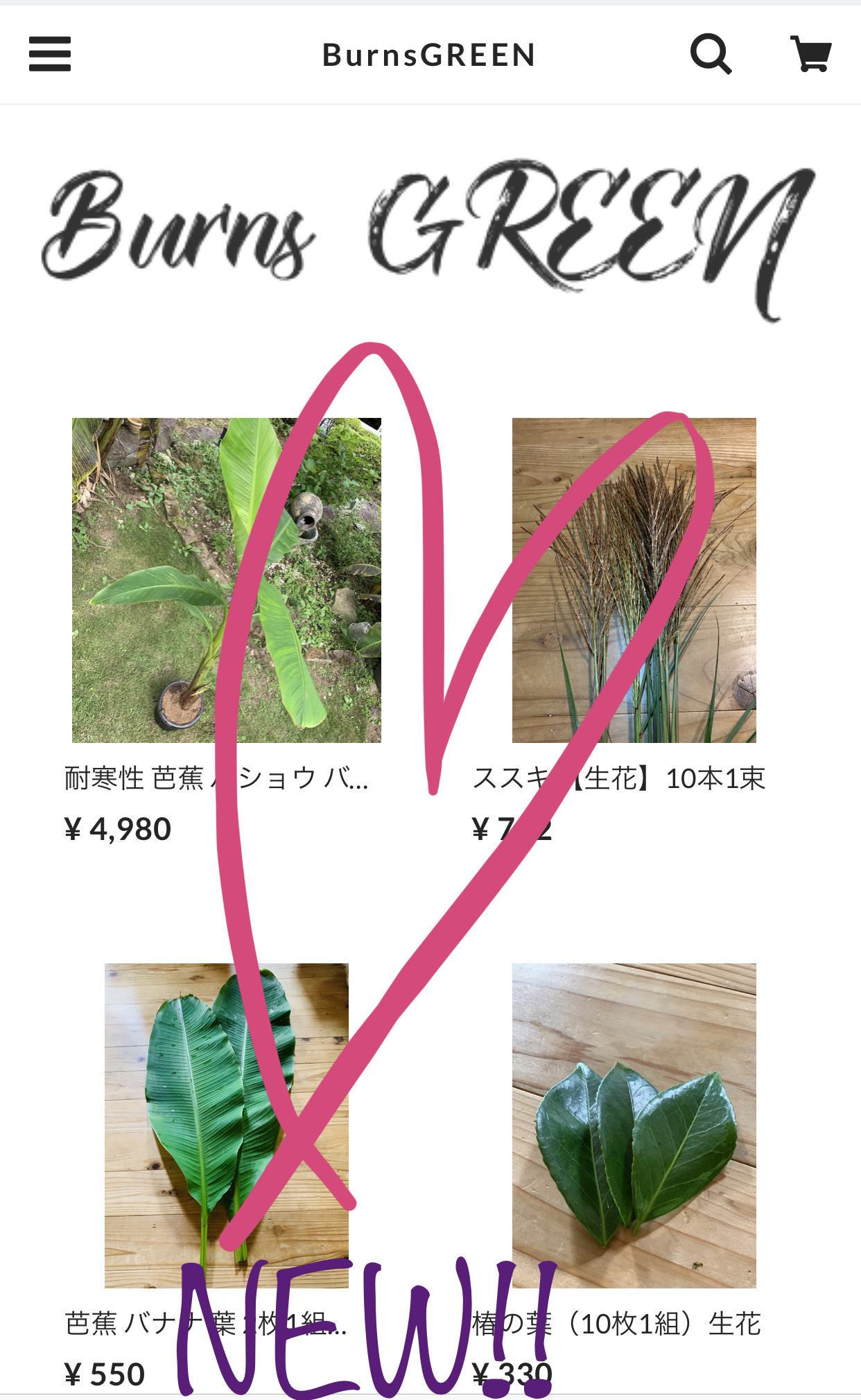 BurnsGREENオープンしました!