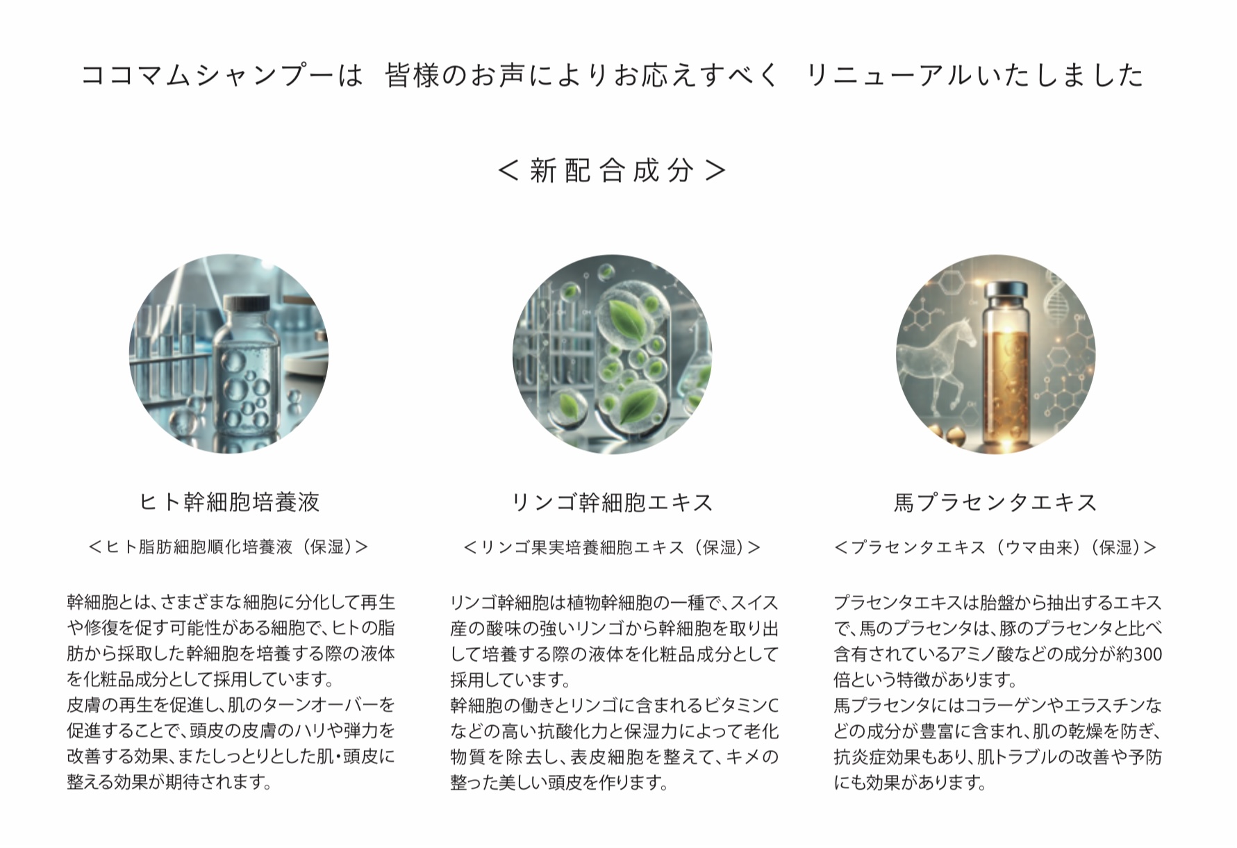 新しいパンフレットが出来上がりました！