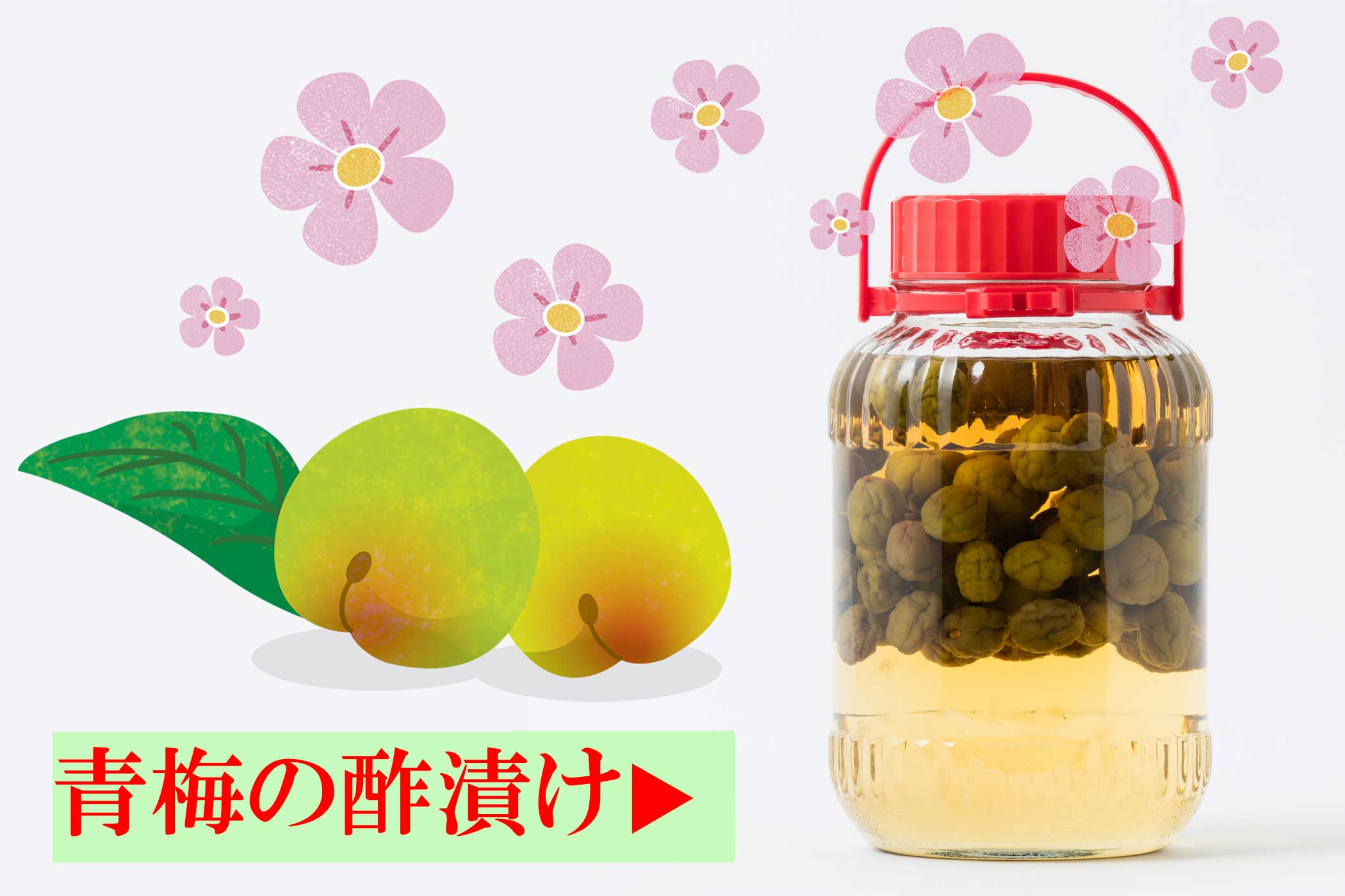 青梅のりんご酢漬け