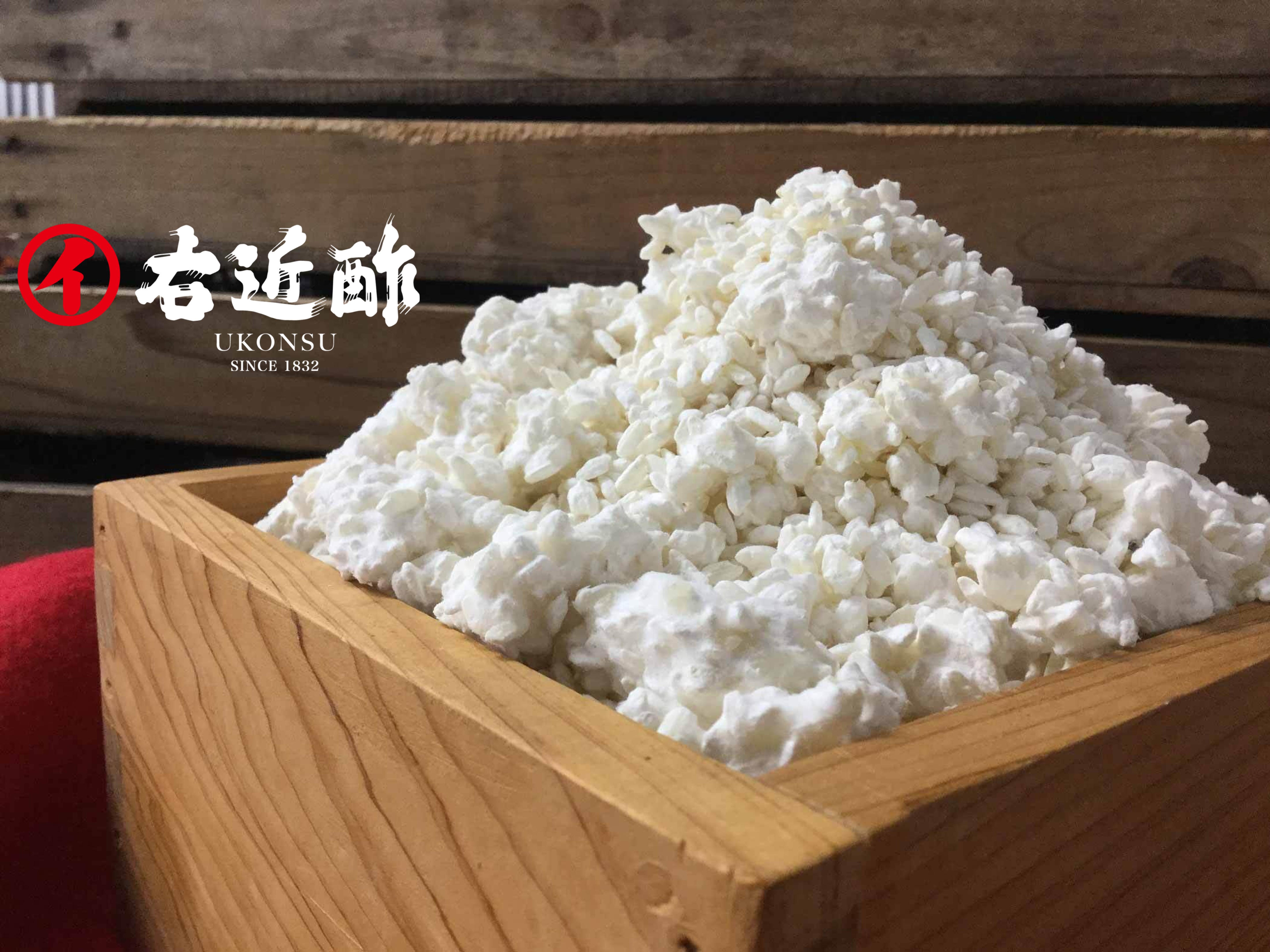 2025年最後の生麴造りについて