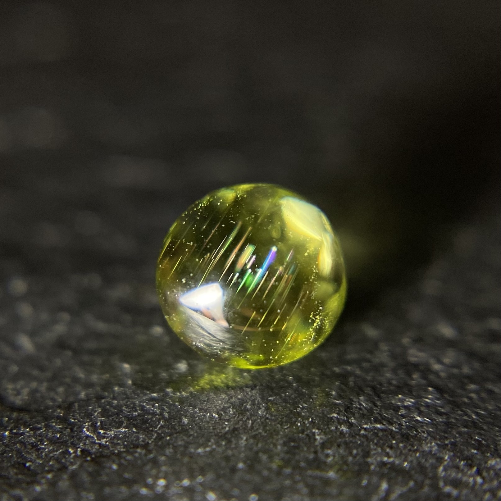 年末の営業と別府販売会のお知らせ