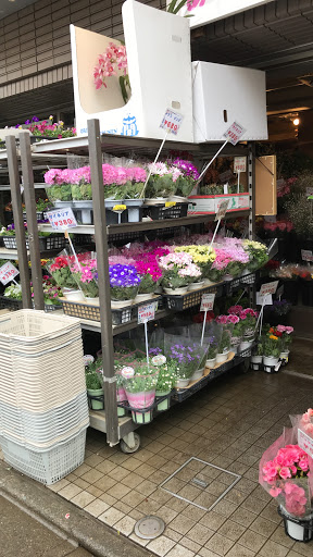 鉢物たくさん入ってますので是非ご来店下さい