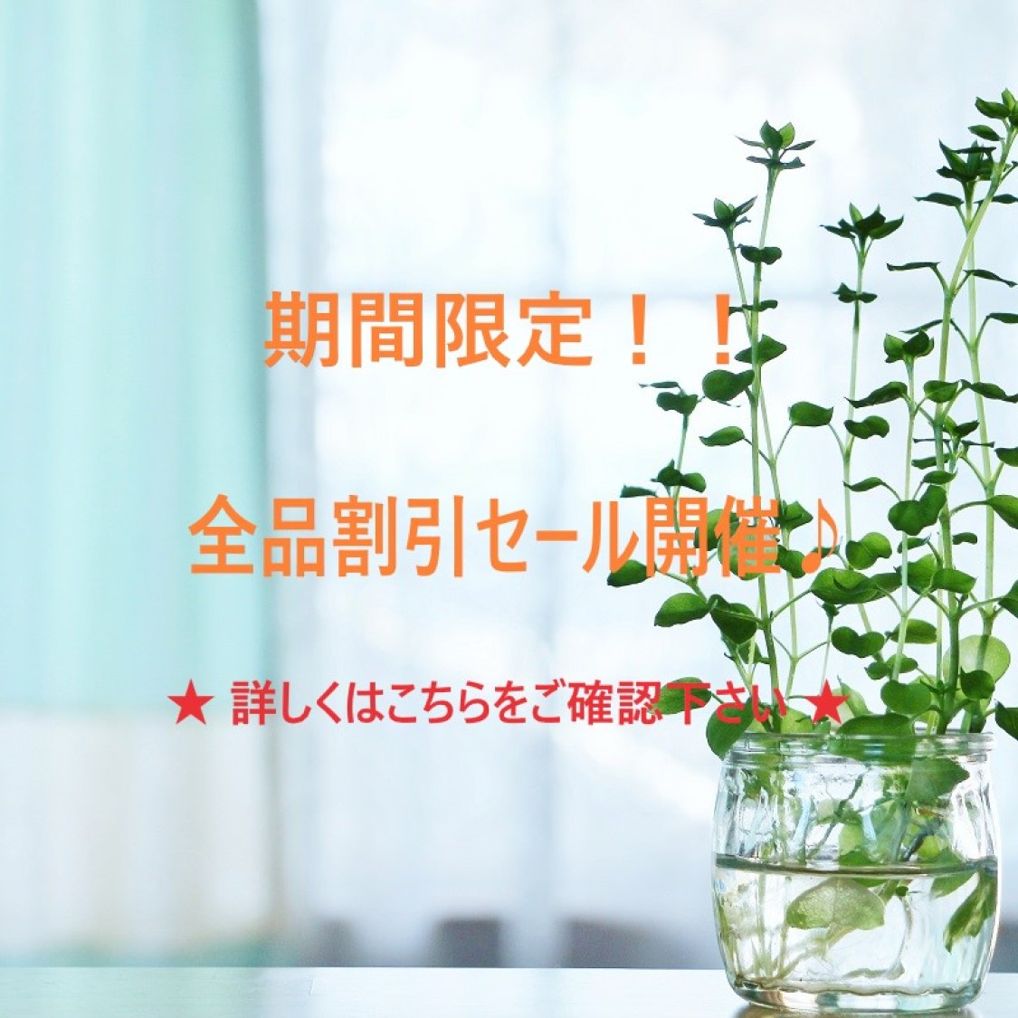 ５％割引セール開催いたします♪