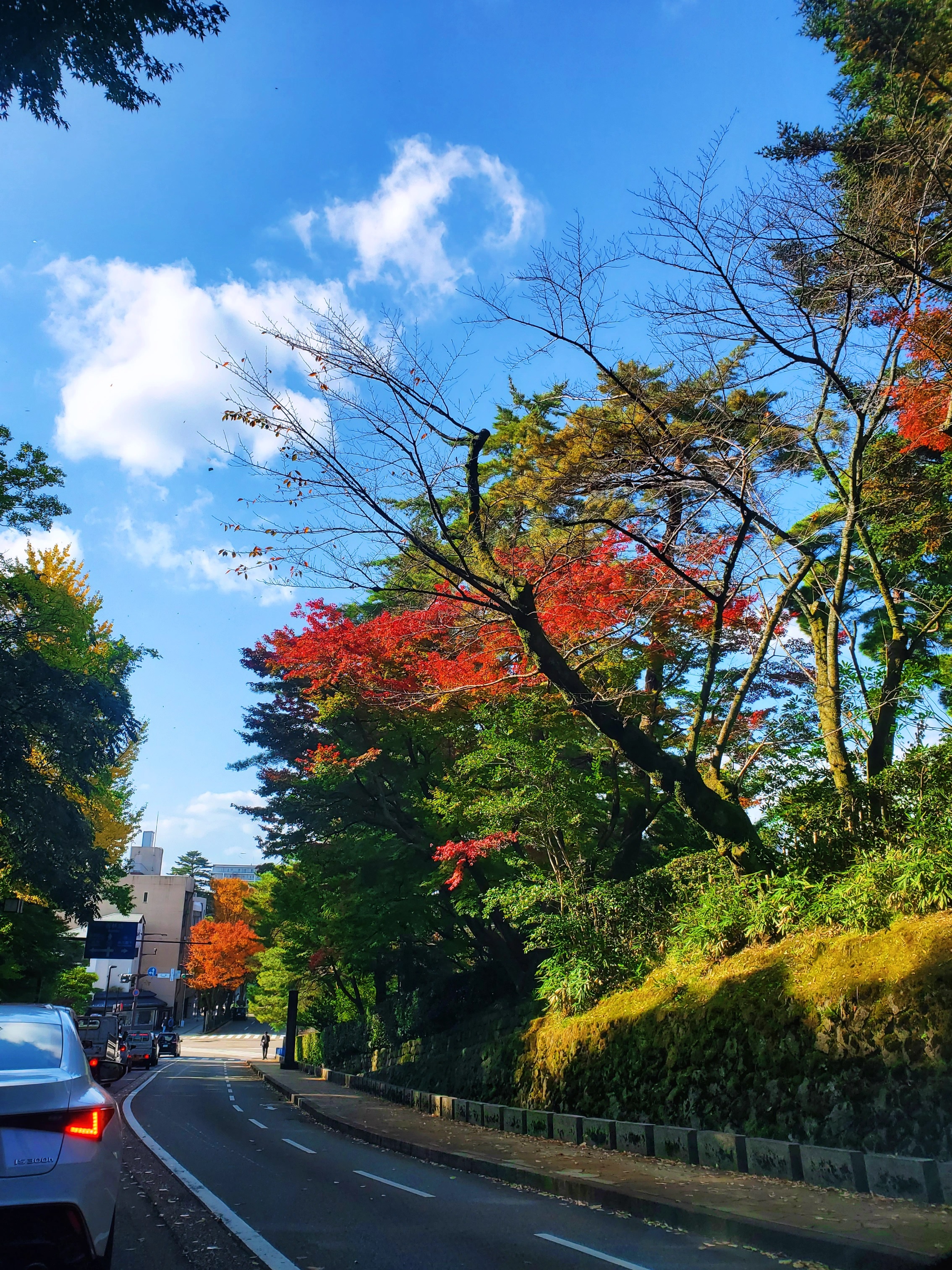 そりゃ足も止まりますて。。。