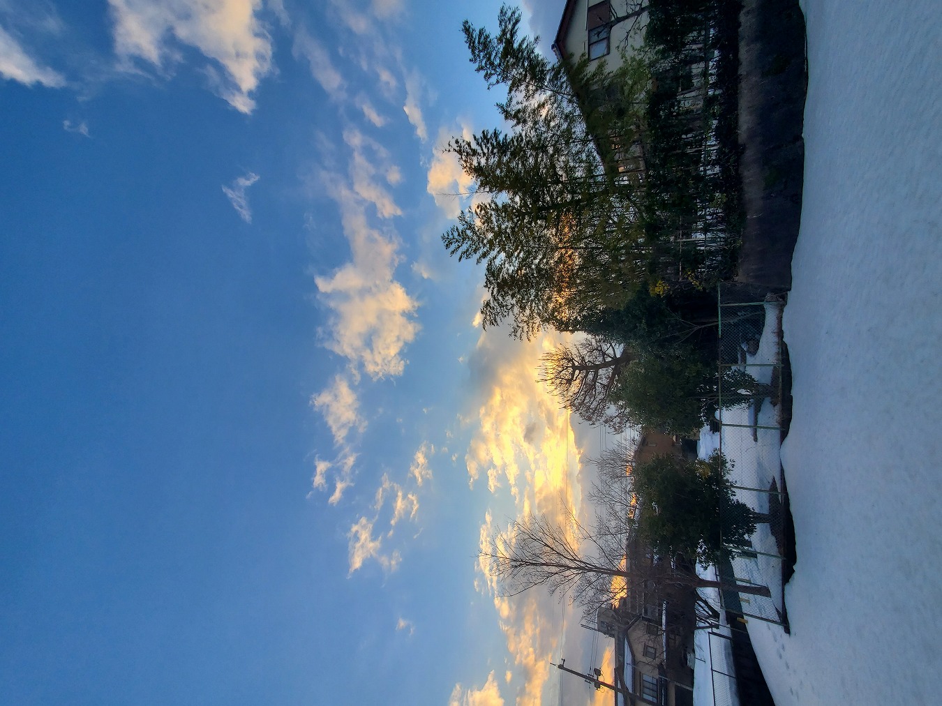 2月になってたけども初詣!