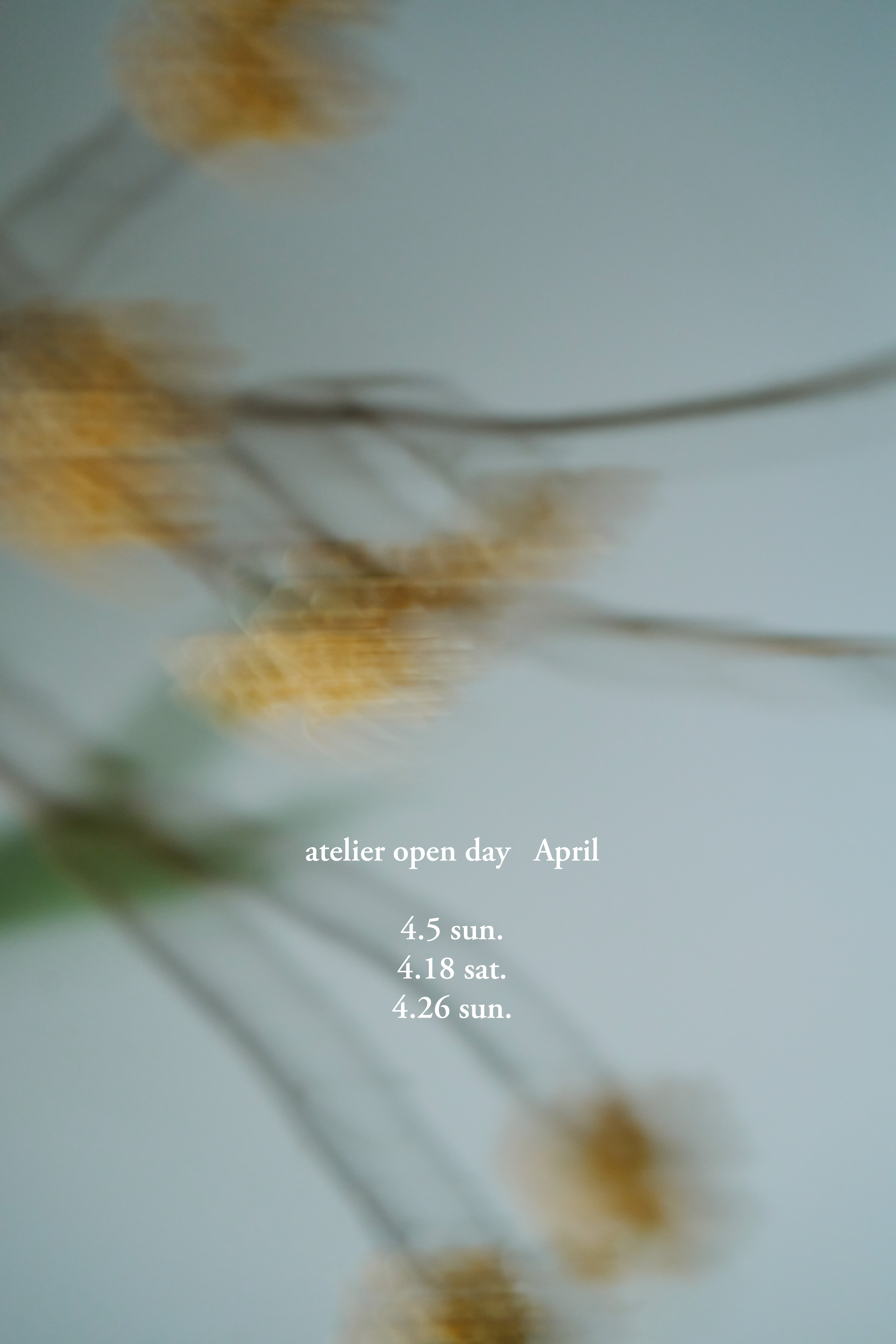 4月のオープンデイと、ピンタックノースリーブドレスのご予約