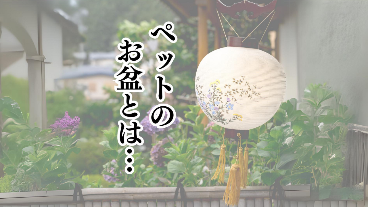 愛と感謝を贈る: ペットのためのお盆の供養