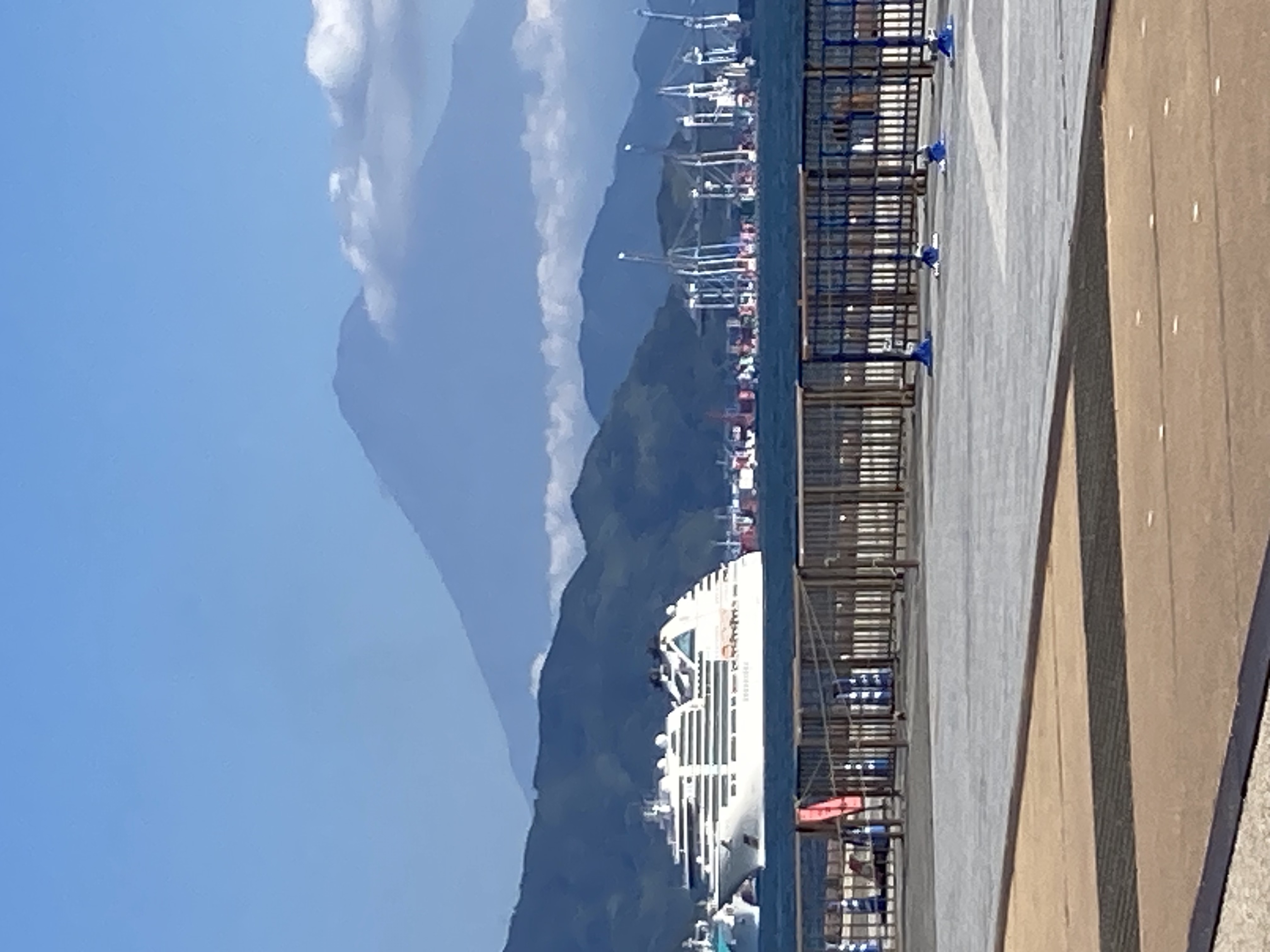 清水港客船マルシェに!