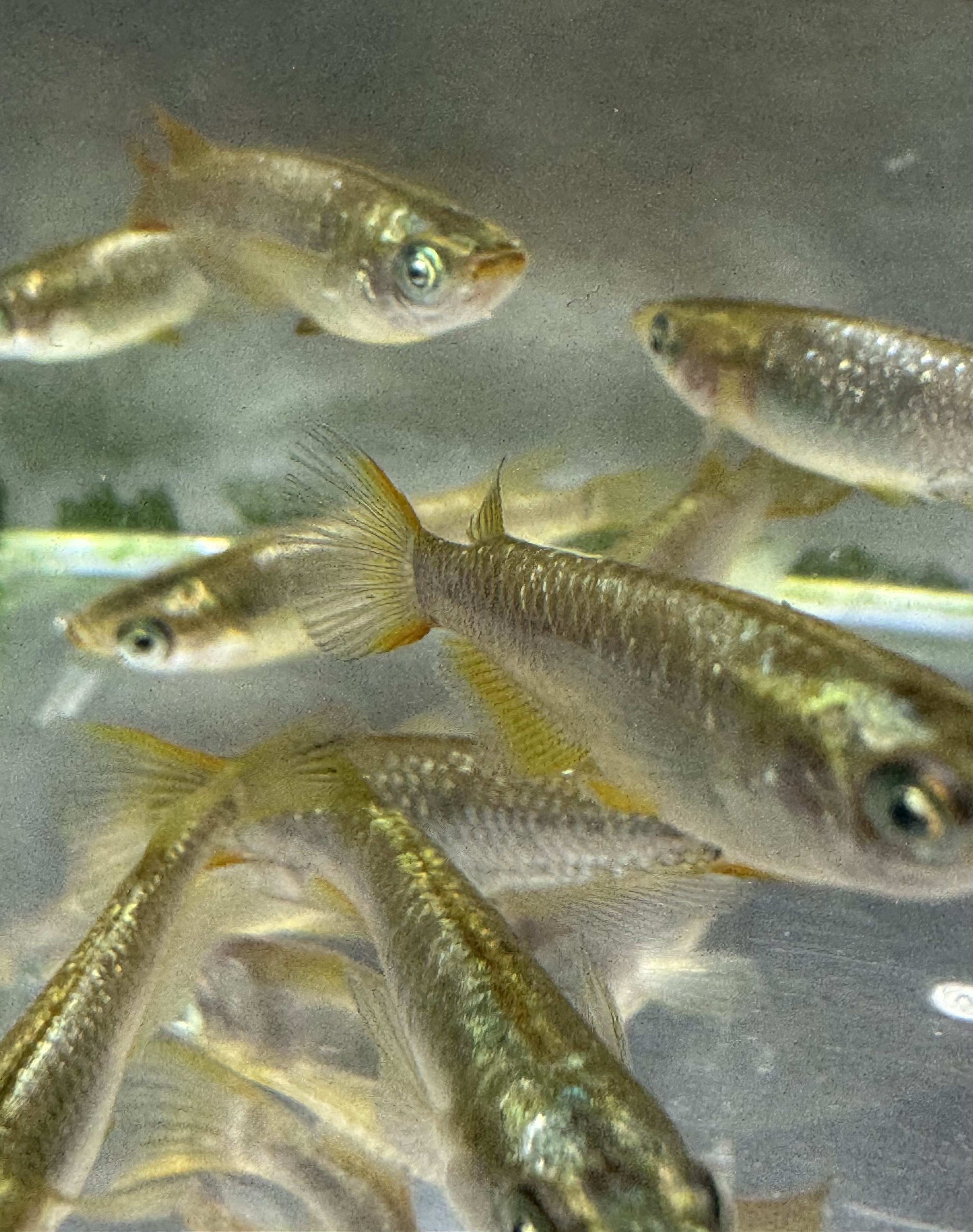 シーズンインセールのお知らせ