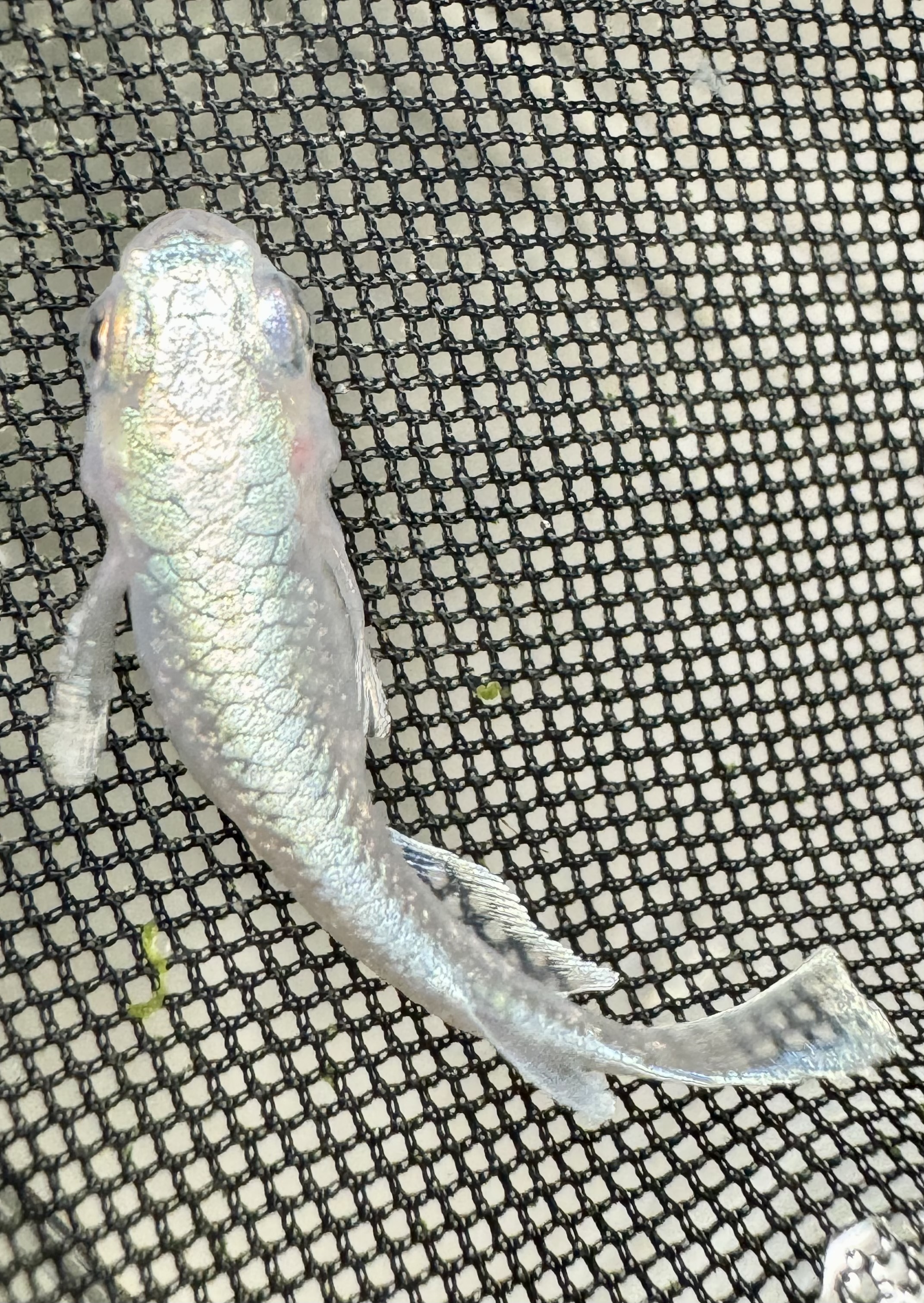 2月突入〜