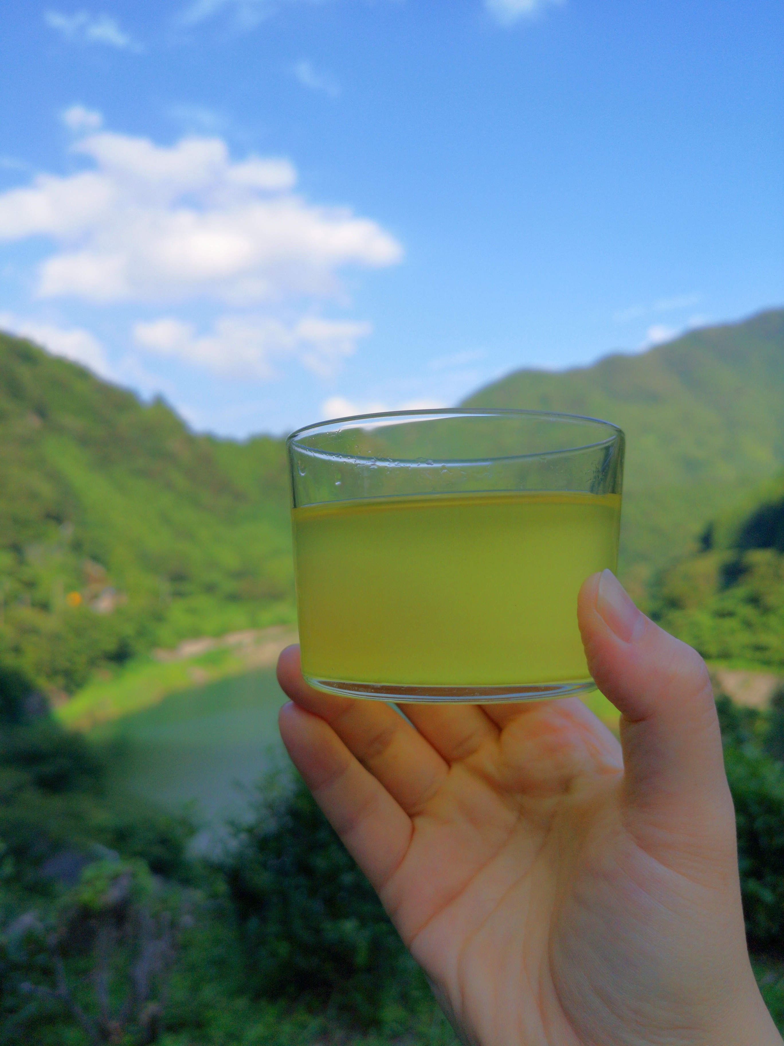 2026新茶出来ました！