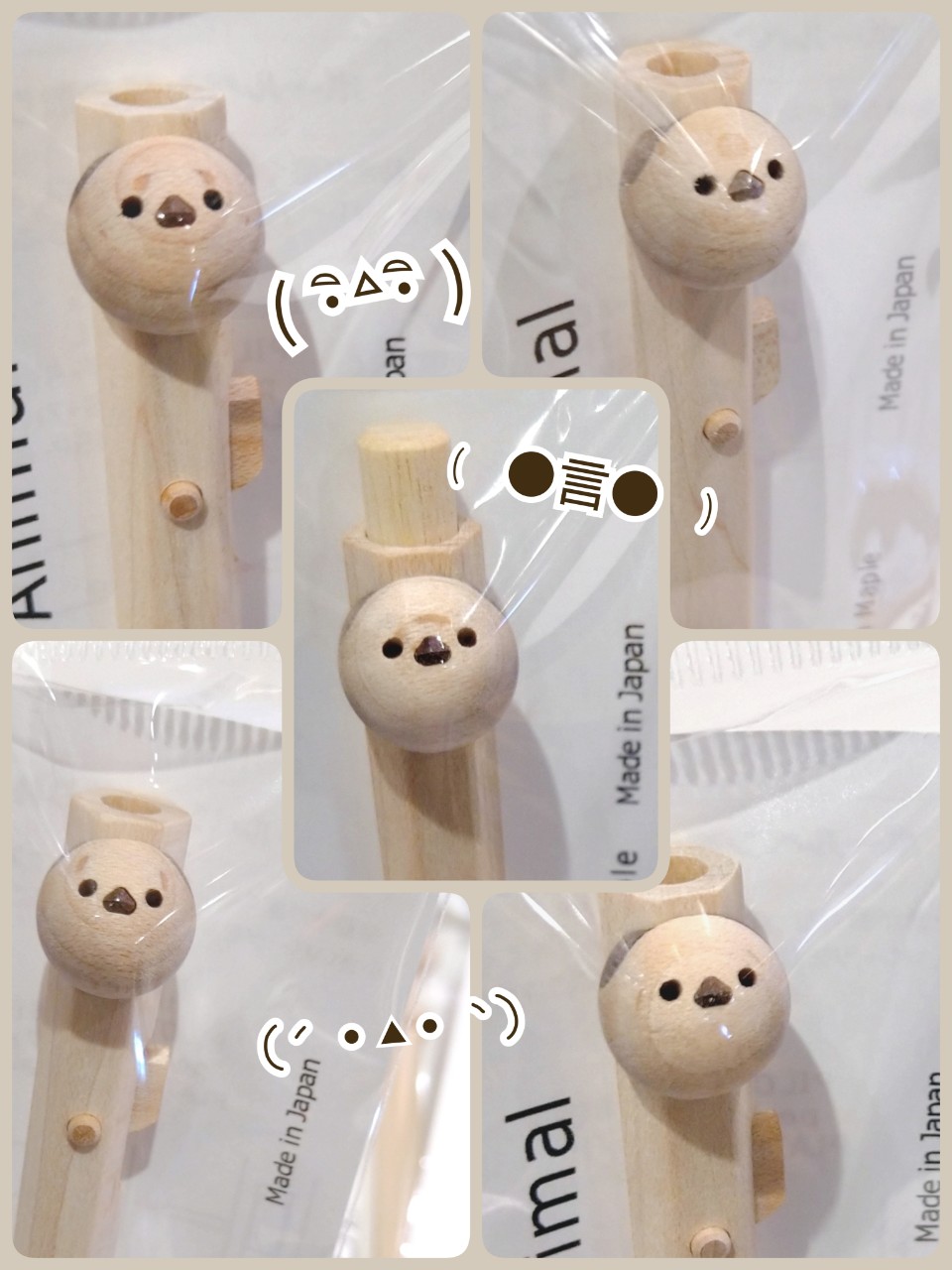 かっ…かわいいーー«・▴・»!! / Column(カラム)シリーズ一部入荷しました✨