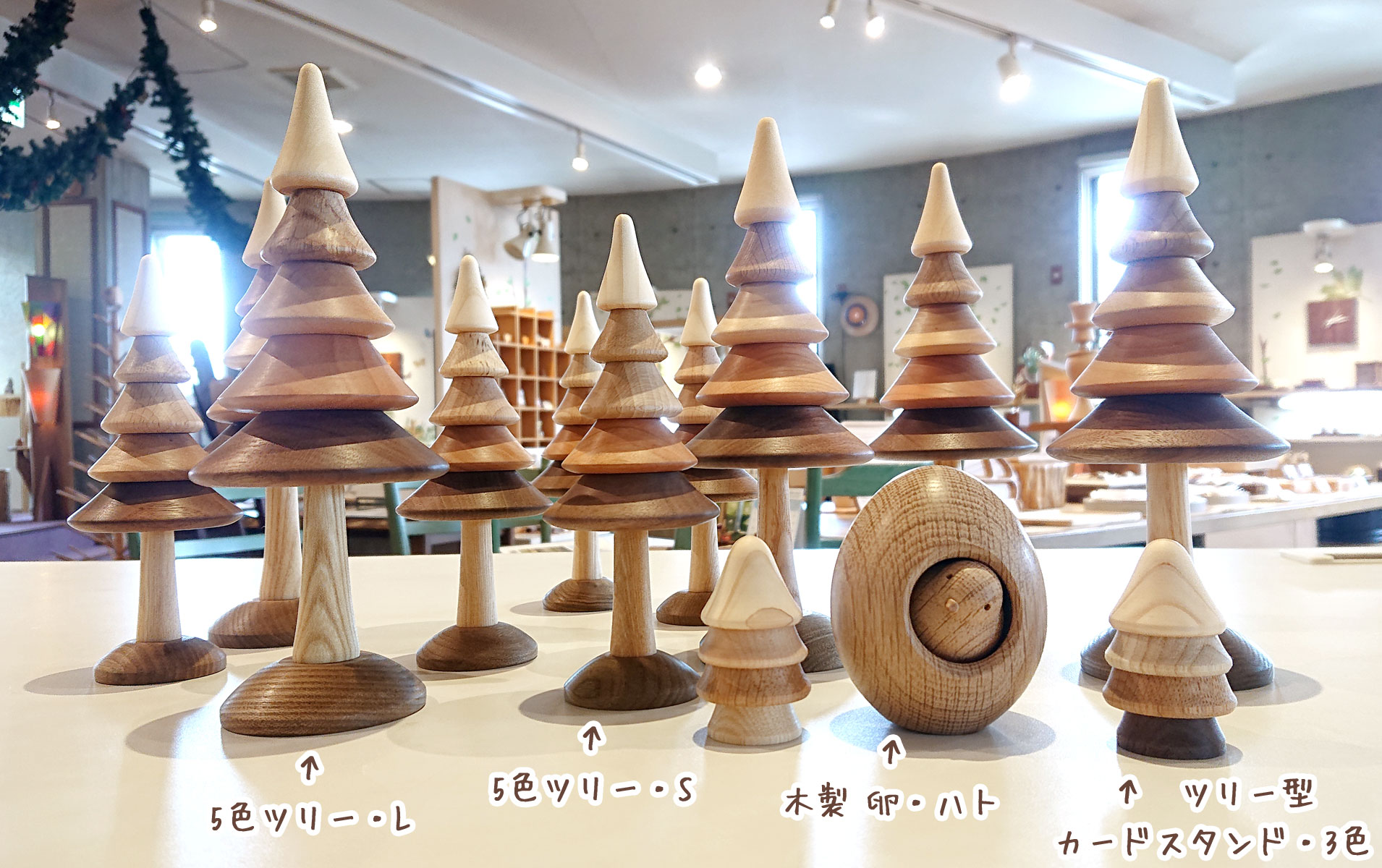 5色ツリー入荷しました🌲