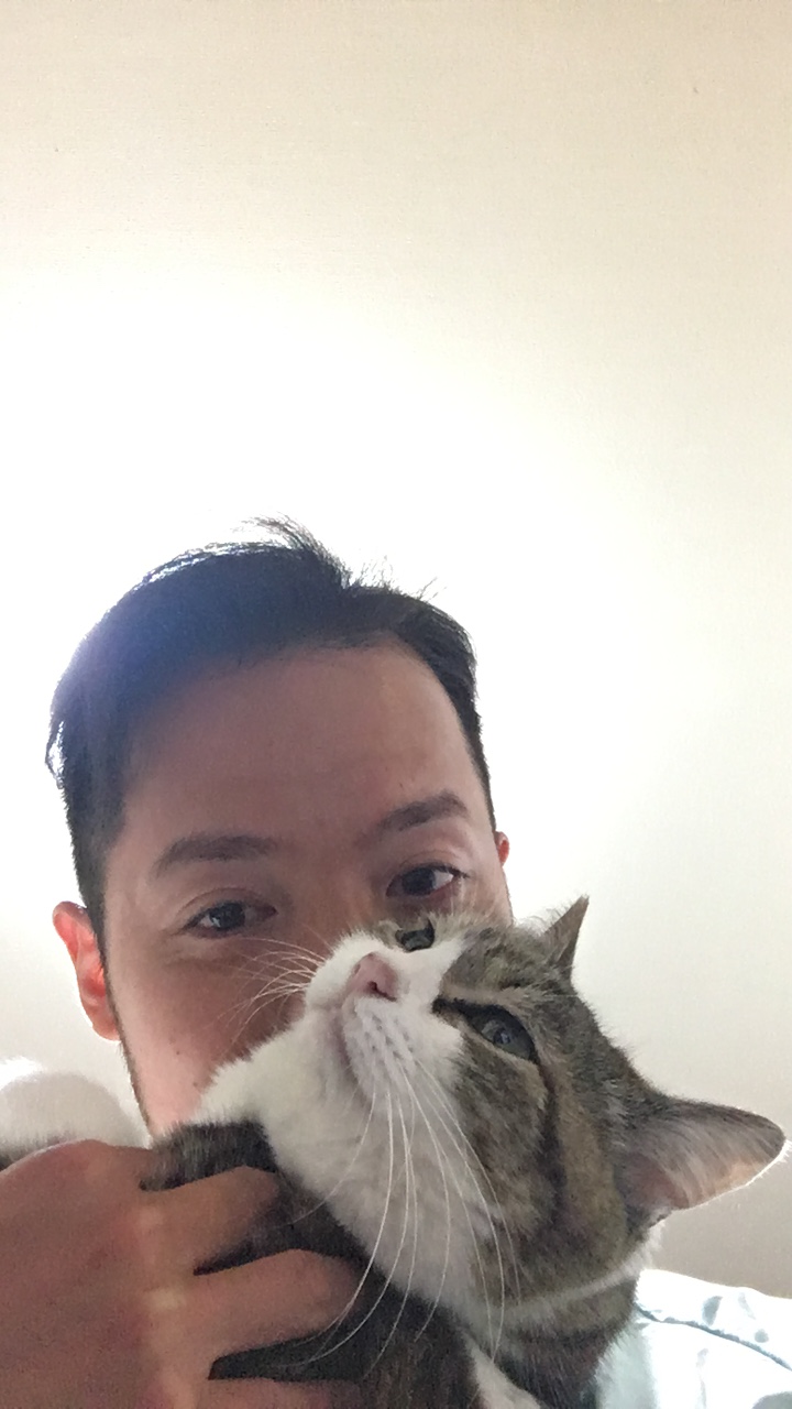ネコの季節