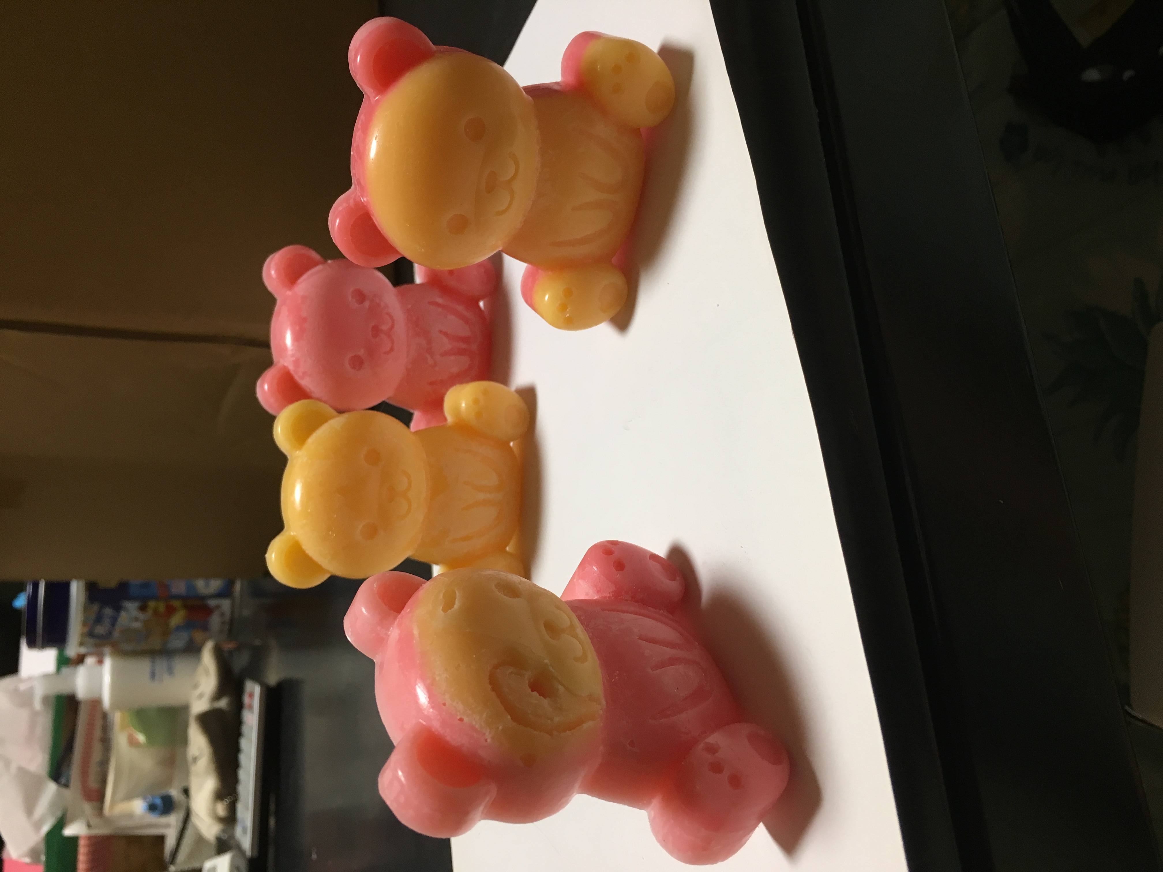 21SP 春物の登場です♪