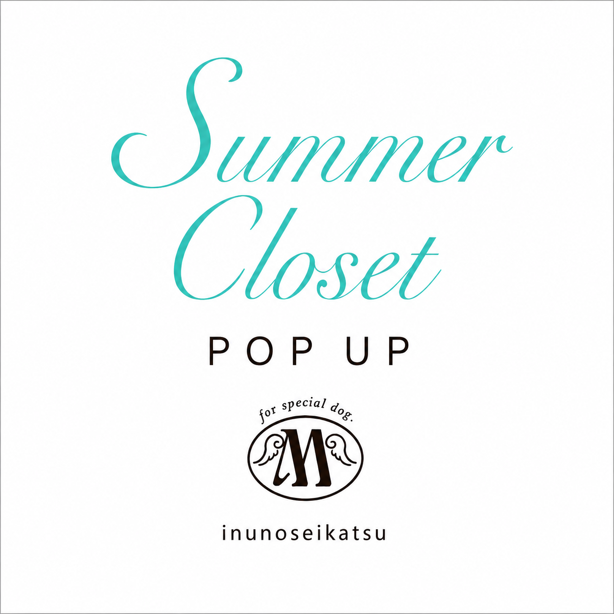 Summer Closet POP UP