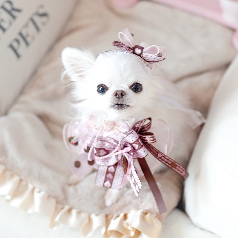 Le Reve 新作 バレンタイン2026 受注生産　ご予約受付スタート