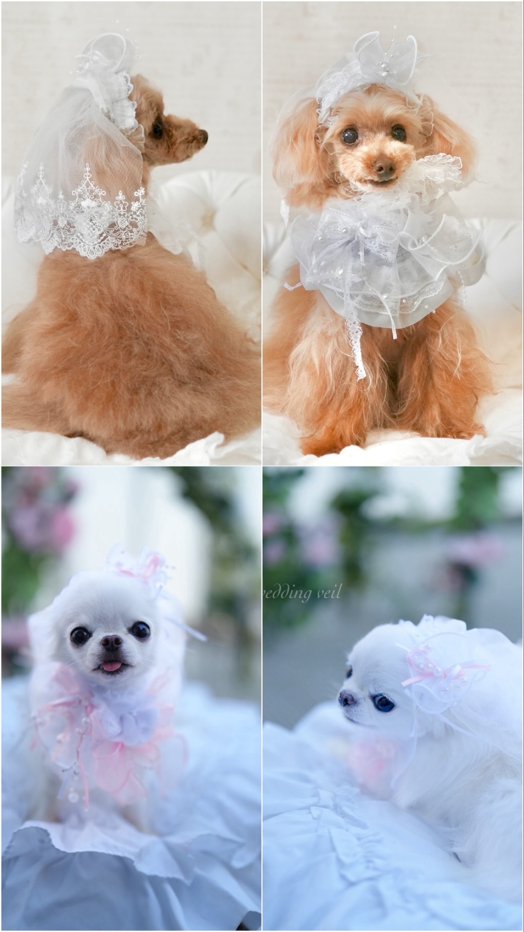 Le Reve 新作 Wedding veil 2025 ご予約スタート